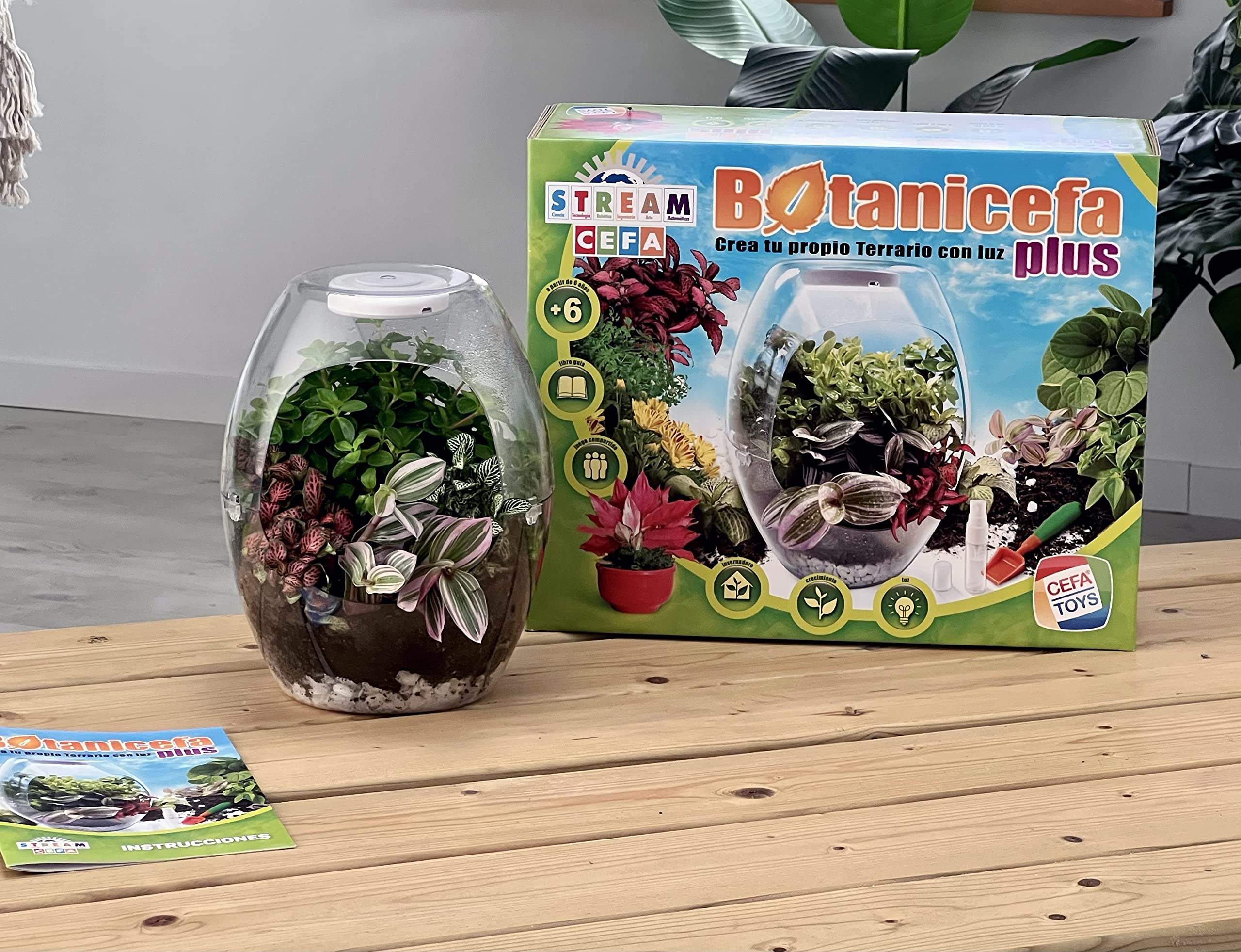 Cefa Toys Botanicefa Plus – Terrario Educativo Con Luz LED Y Libro Guía Para Crear Tu Mini Jardín, A Partir De 6 Años
