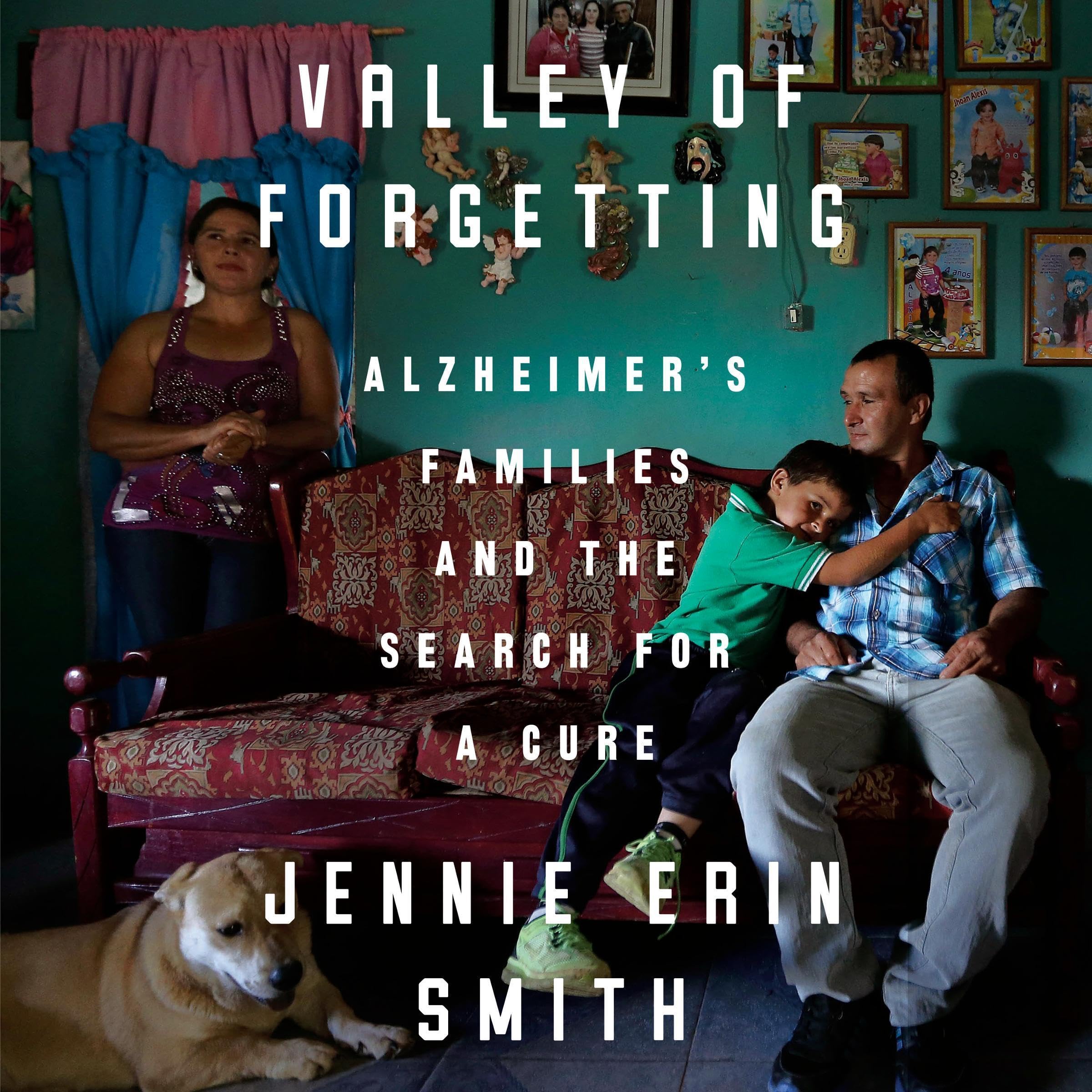 Cover art for Valley of Forgetting