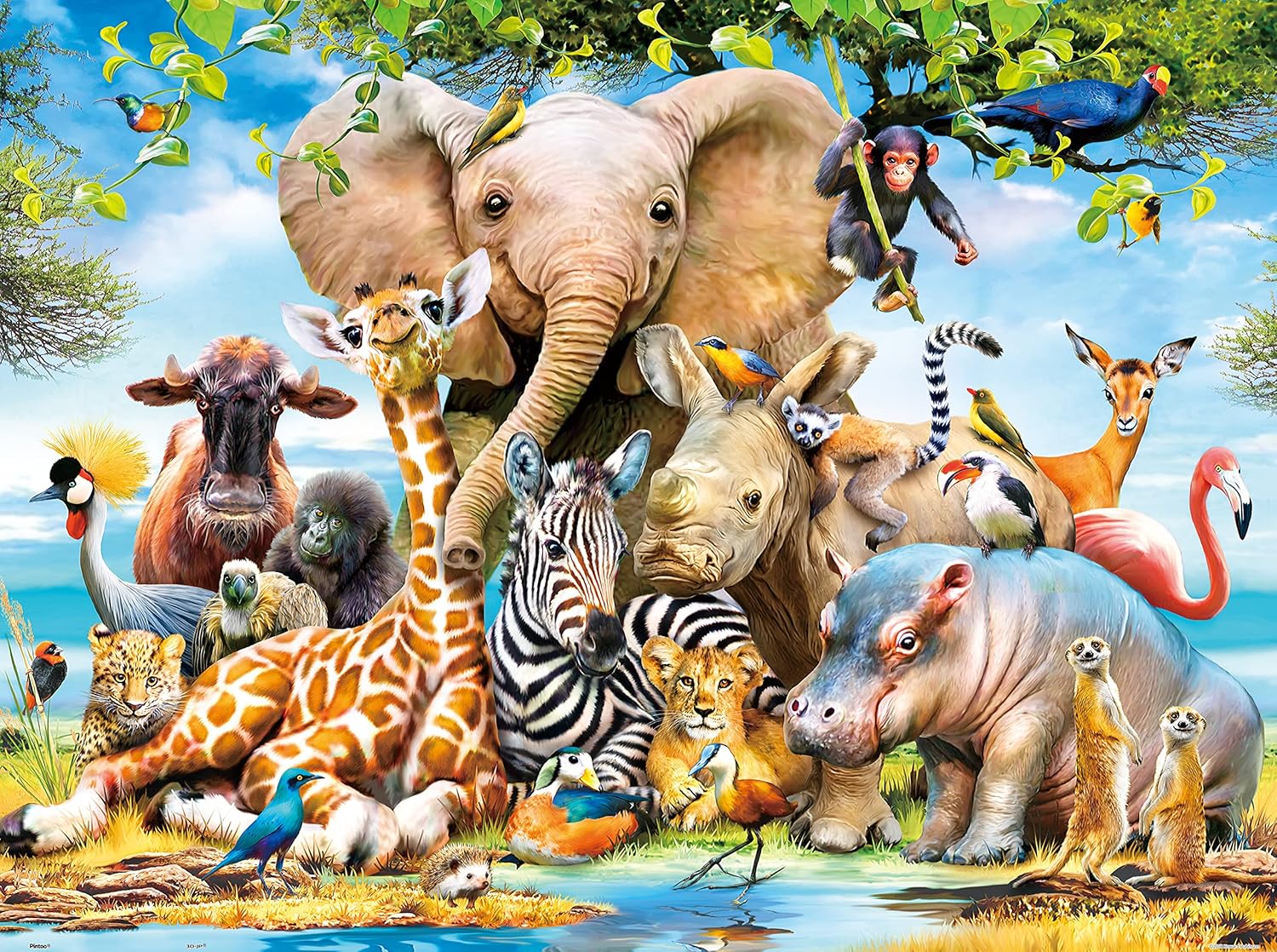 Pintoo Jigsaw Puzzles 1200 Piece for Adults - Howard Robinson - Africa Smile Beautiful Plastic Puzzle for Home Decor Zero Dust Easy Storage [H2043]