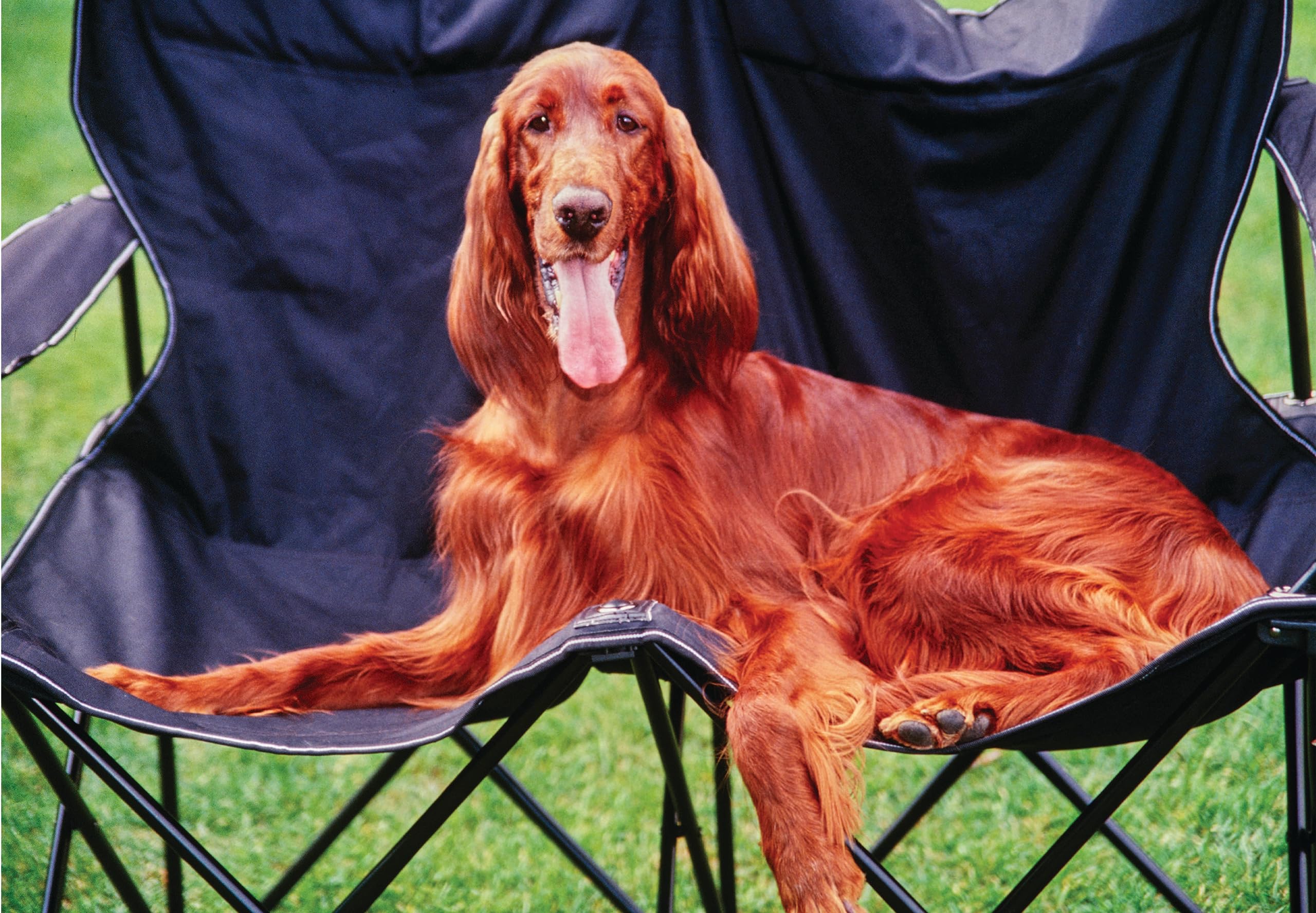 Wild Truth Loveseat Camping Chair - 2 Person Beach Chair - Two Person Camping Chair for Adults - Giant Camping Sofa - Camping Loveseat - Double Camping Chair - Double Folding Chair