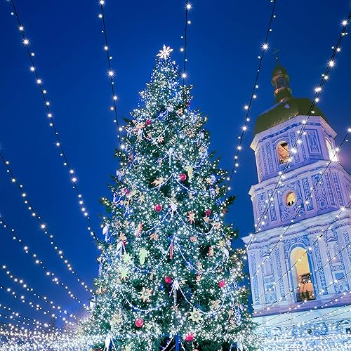 Miniatura 7 de DANLI Guirnalda de luces de Navidad para exteriores, 105 pies, 300 luces LED para árbol, luces de Navidad enchufables, impermeables, luces de hadas