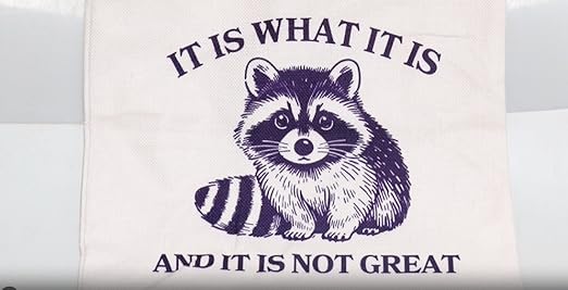 Amazon.com: PWHAOO Funny Raccoon Tote Bag It Is What It Is And It