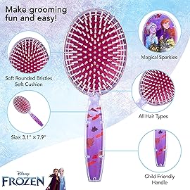 Disney Frozen Hair Brush with Magical Sparkling Leaves Confetti featuring Anna and Elsa for Girls, Purple - Kids Ages 3+
