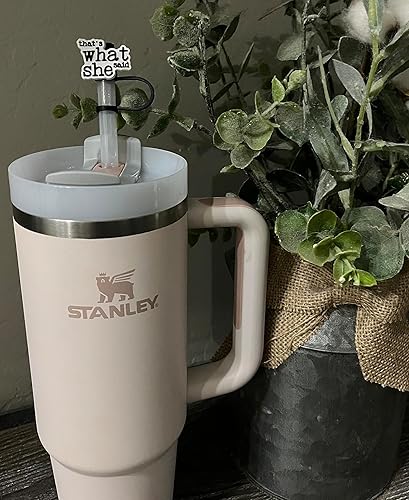 Miniatura 2 de Paquete de 6 tapones de 10 mm para pajitas compatibles con las pajitas más anchas de Stanley y Simple Modern (Paquete divertido)