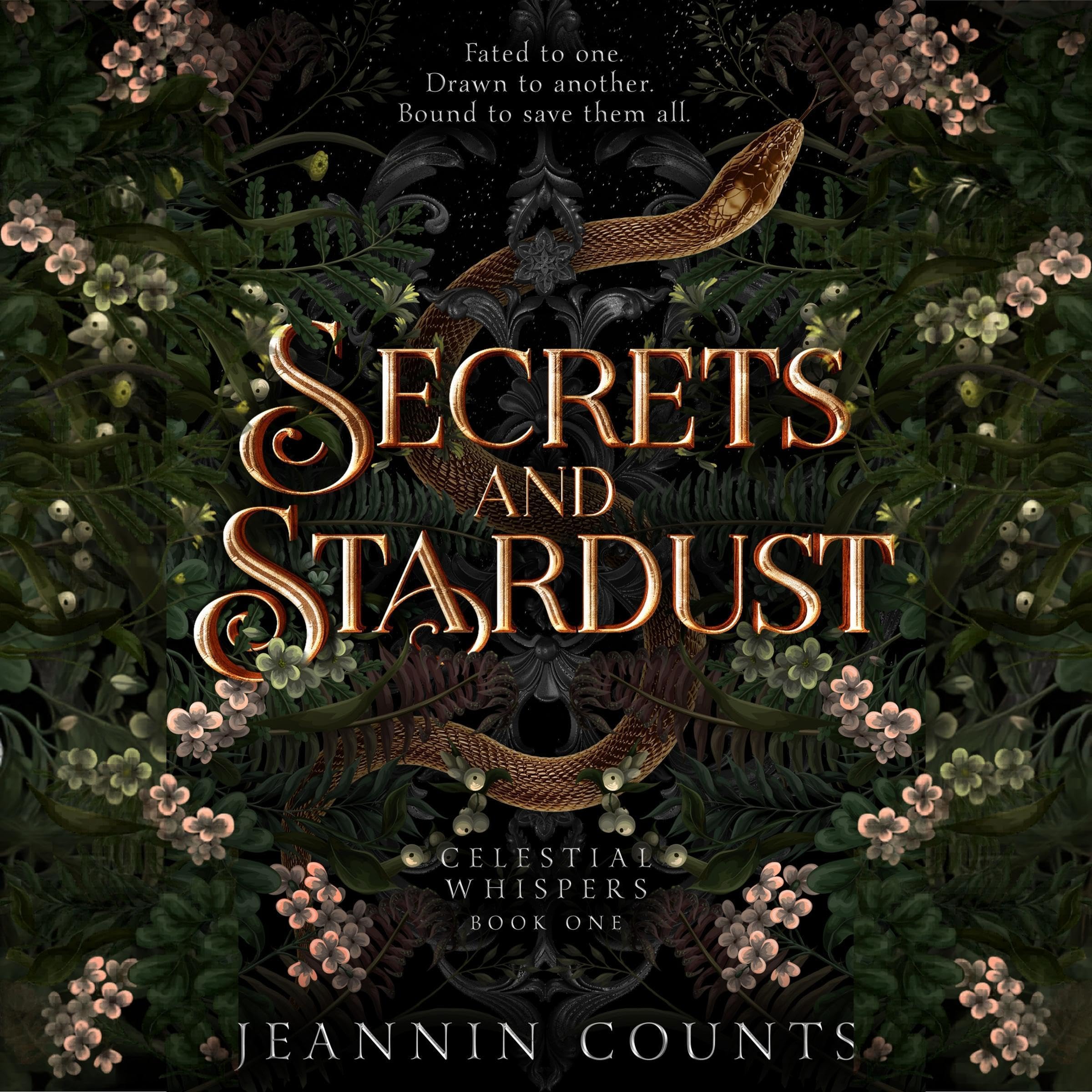 Cover art for Secrets and Stardust
