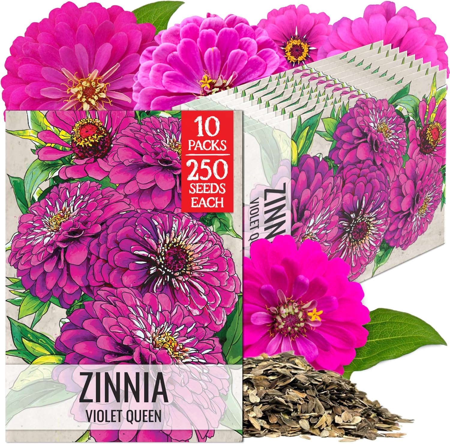 Seed Needs Purple Zinnia Seeds for Planting Violet Queen Zinnias - Heirloom & Open Pollinated Annual Cut Flowers for a Butterfly Garden (10 Packs)