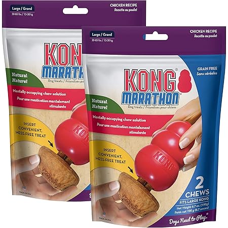 kong snacks large