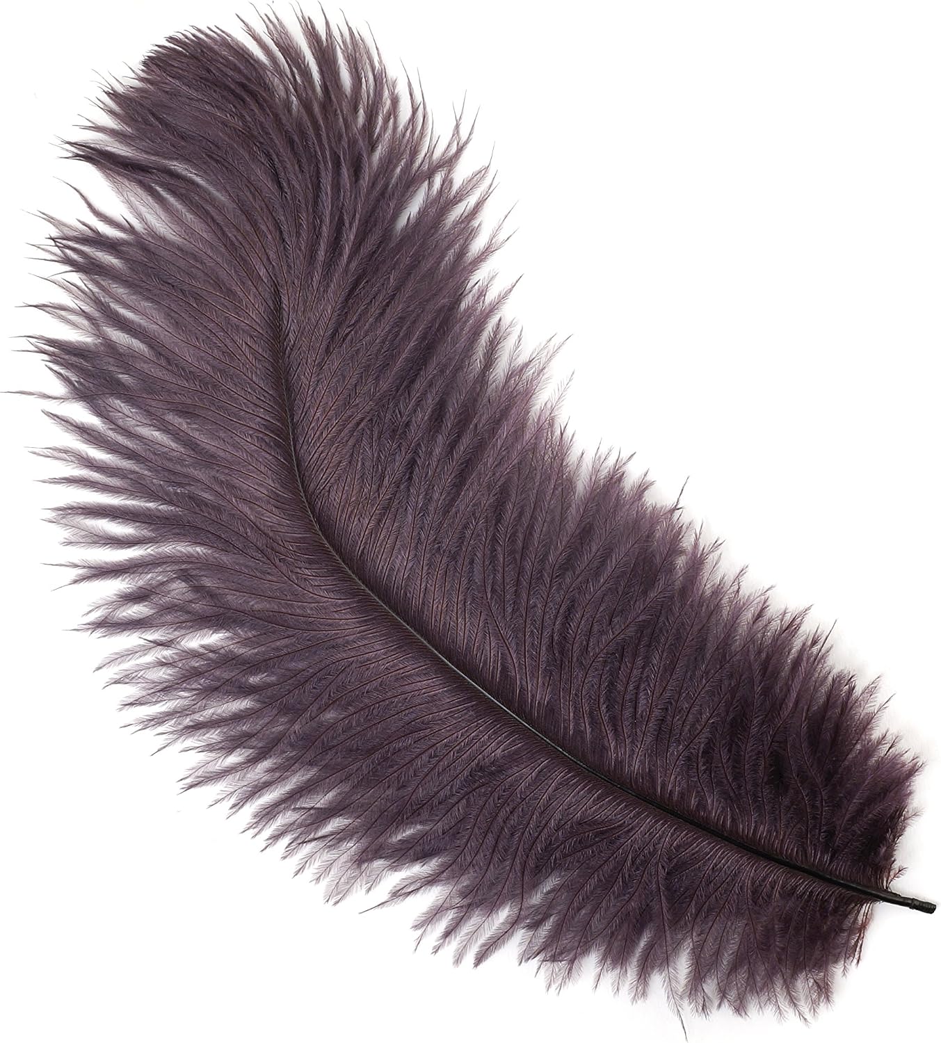 ZUCKER Bulk Feathers | Ostrich Feather Craft Supplies | DIY Wedding Decor | Bulk Ostrich Feathers for Party Decoration, 4-8 inch, Amethyst Purple, 1/4 lb (Approx 100 Pieces)