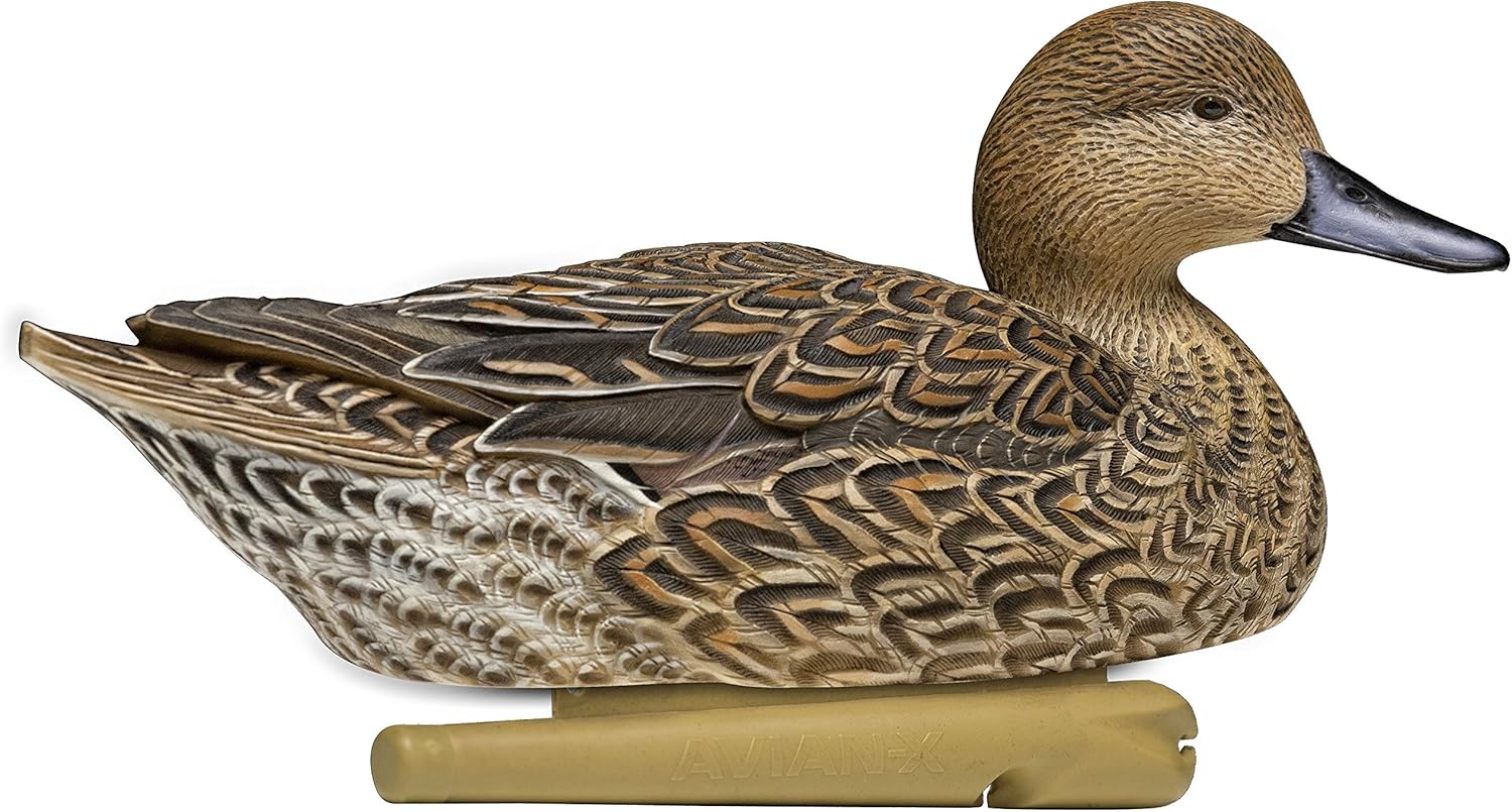 Buy 1 get 1 Avian-X Top Flight Pintail Decoys 6 Pack, One Size, (8082)