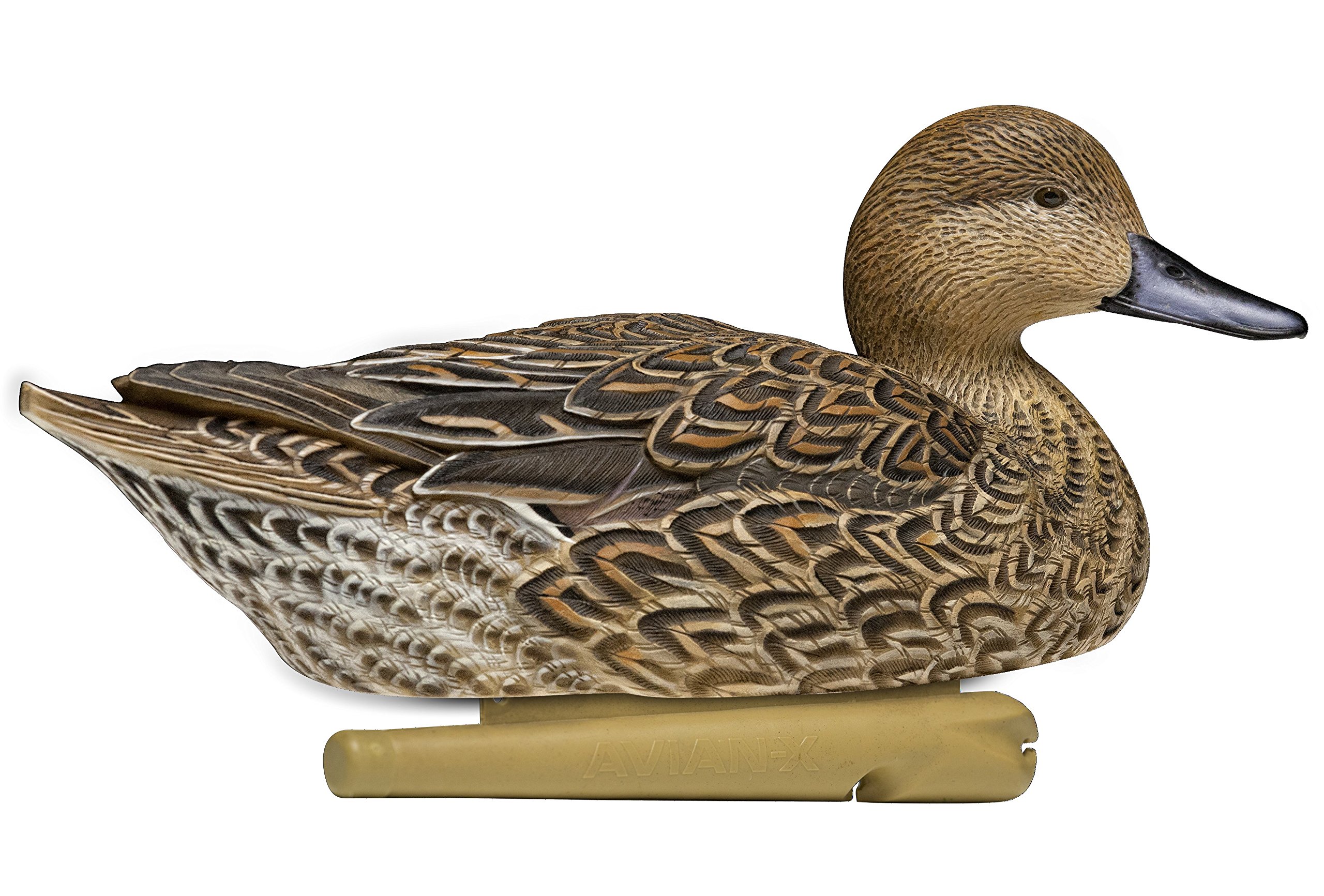 AvianX Topflight Pintails Durable Ultra Realistic