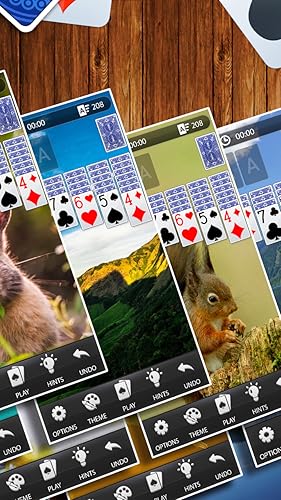 Solitaire Classic Card Game by Mint