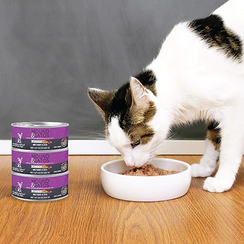15 Best Foods For Cats With Ibd In 2024