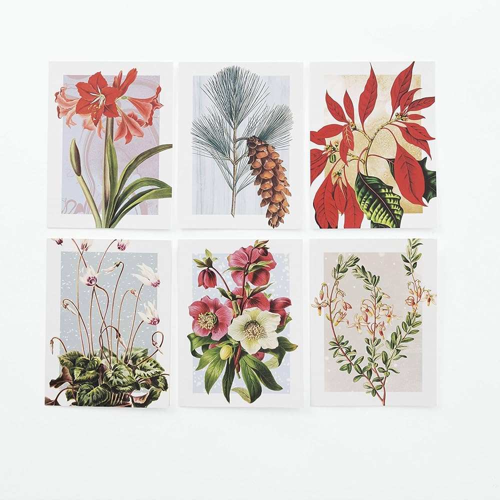 【大型本】FLOWER&FRUIT PRINTS ボタニカル Amazon.com: Winter Botanicals Note Cards: Note Cards and
