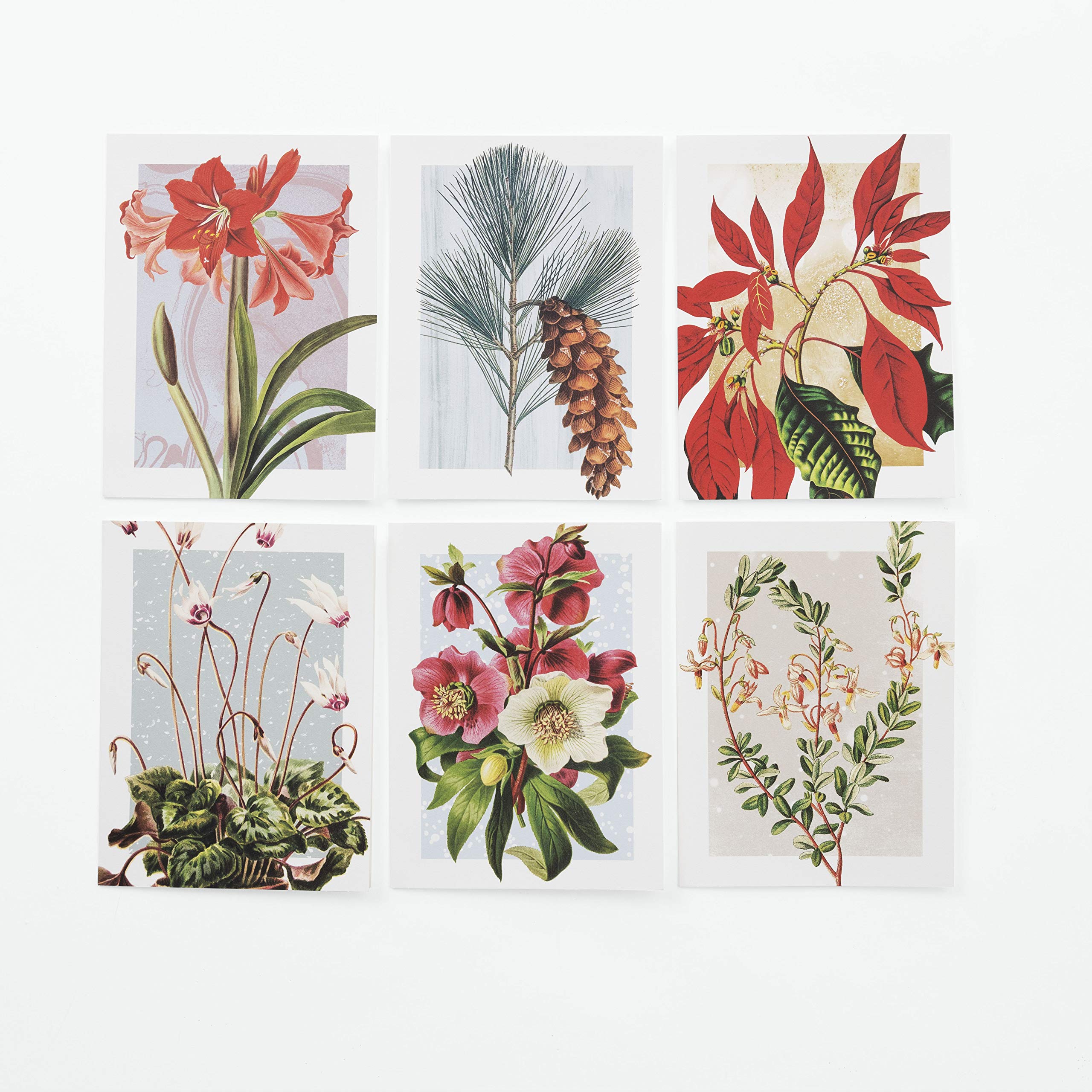 Winter Botanicals Note Cards - NYBG -4 Winter Botanicals Note Cards - NYBG -4