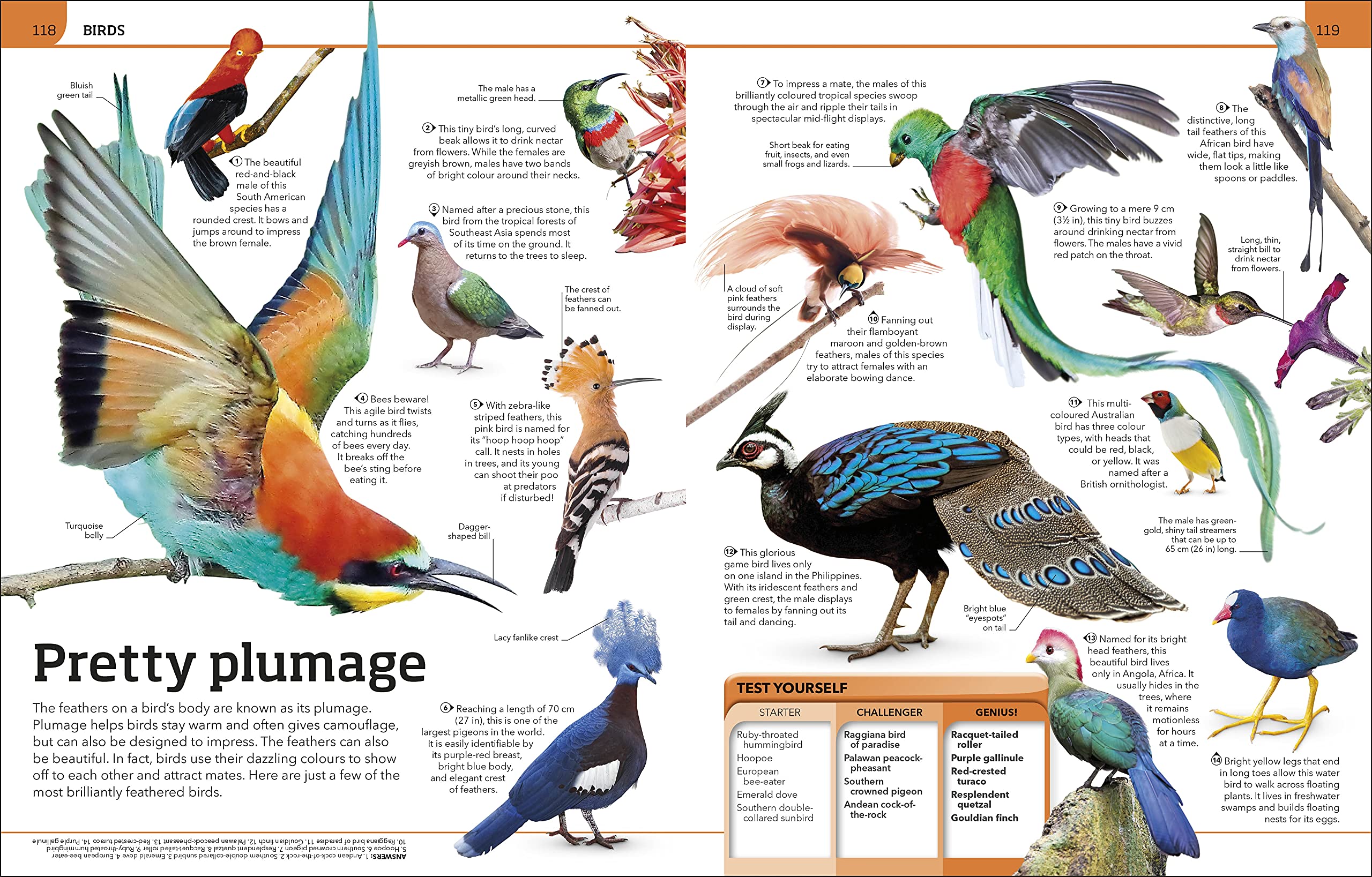 Animal Knowledge Genius!: A Quiz Encyclopedia to Boost Your Brain