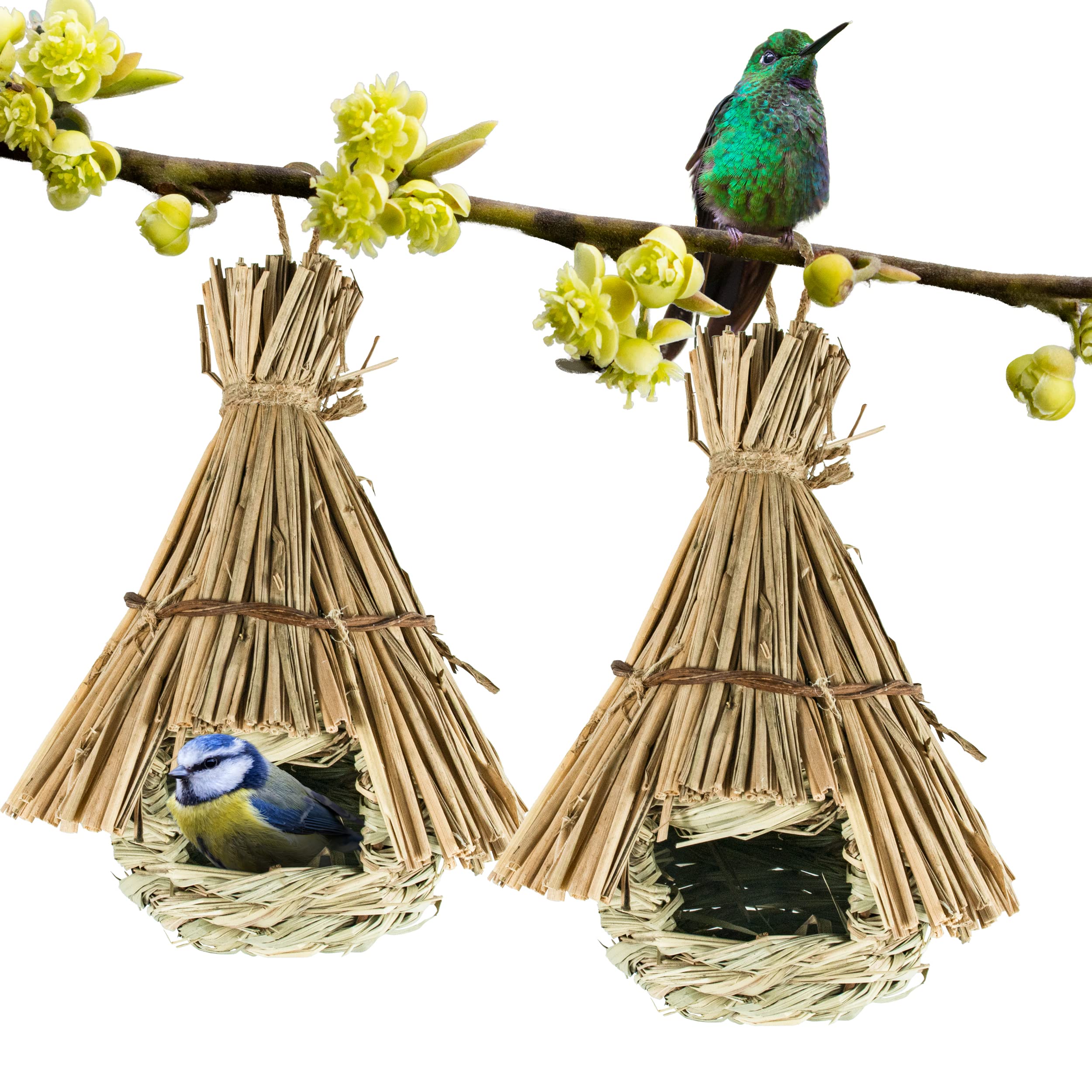 BESCH Pack 2 Nidos para Pájaros Pequeños de Hierba Natural 16x16x19cm Tejado Plano - Casita de Pajaro Colgante Exterior - Casa Pajaro Jardín