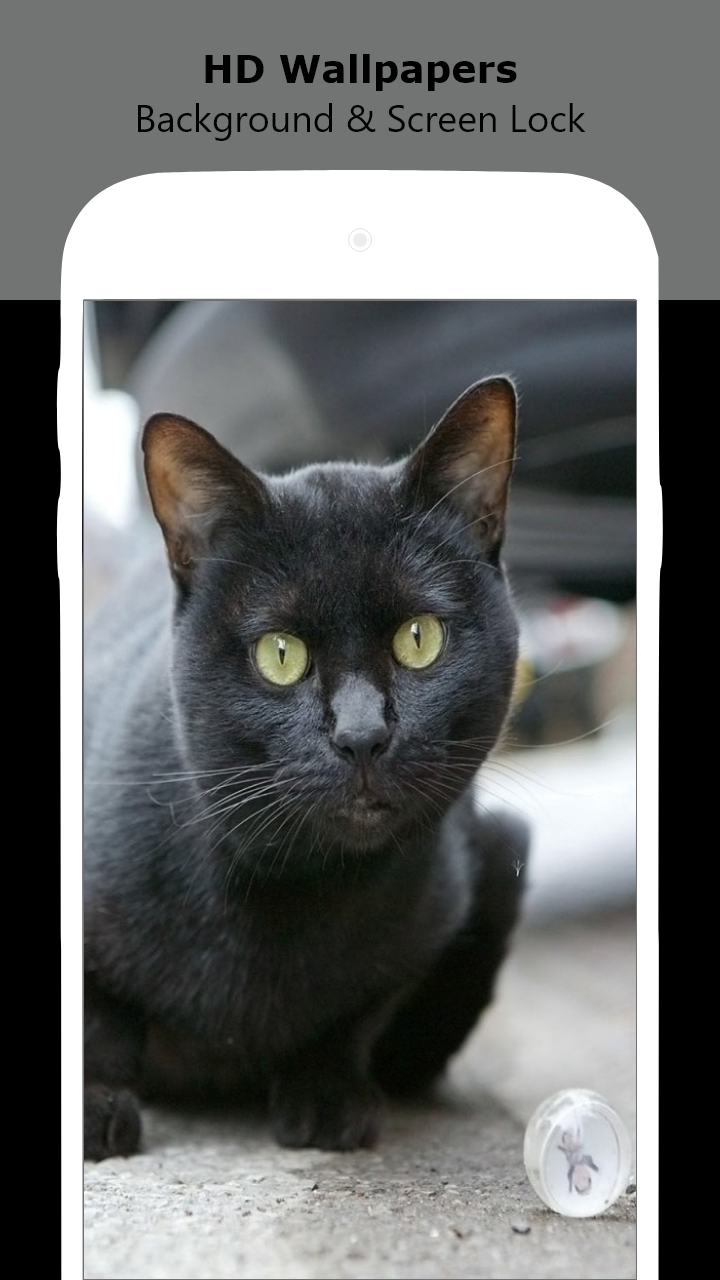 Black Cat HD for Android