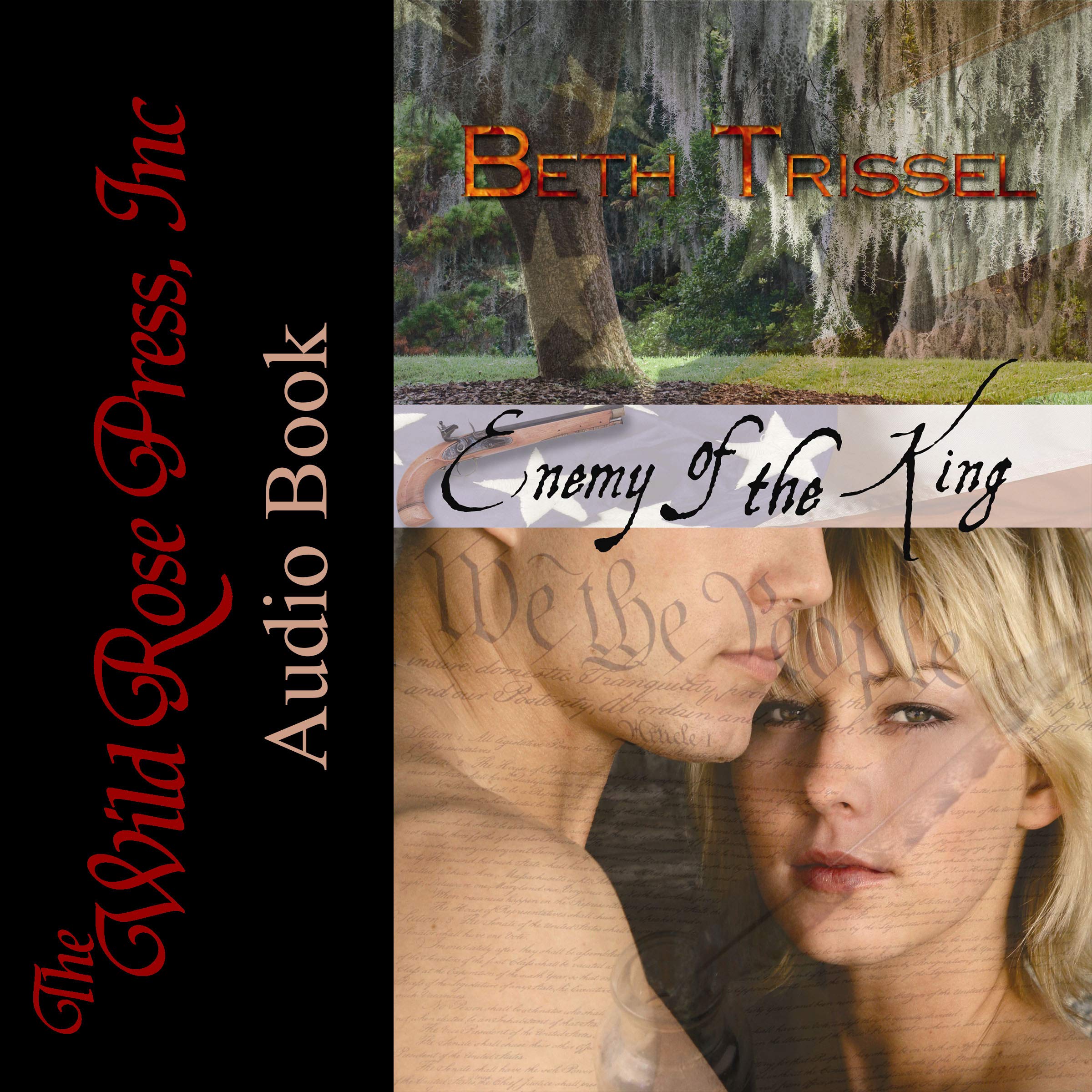 Cover art for Enemy of the King