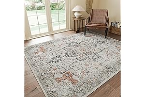 Luminous 3x5 Area Rug: Embellish Your Living Spaces with Vintage Charm