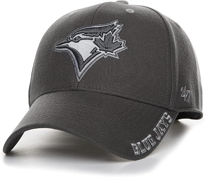 Men's Toronto Blue Jays Defrost MVP 