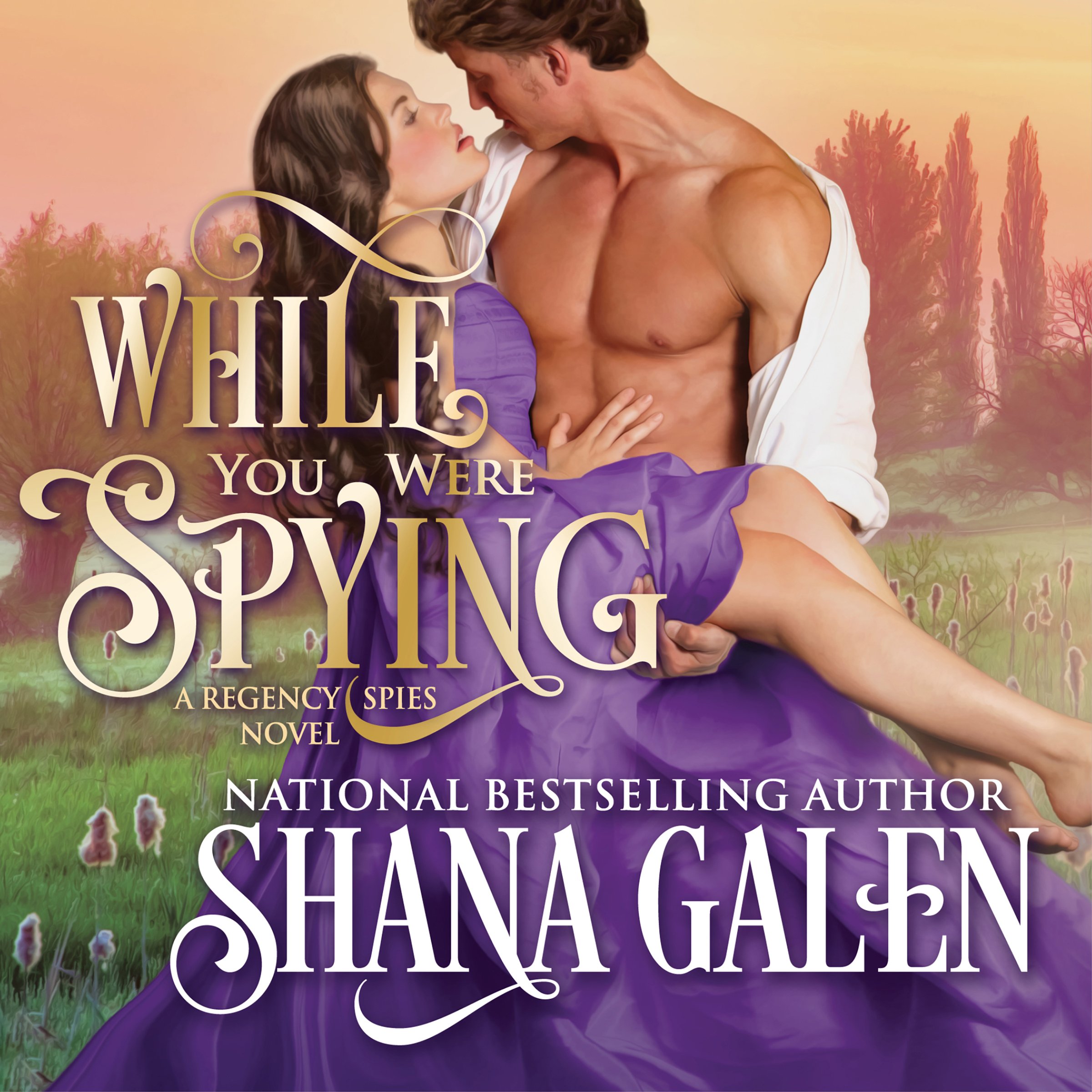 Cover art for While You Were Spying