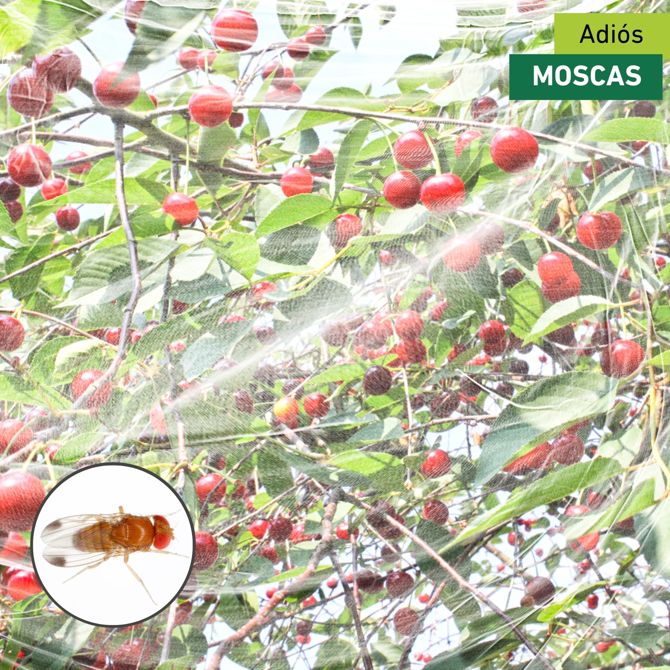 Windhager Mosquitera de vinagre de cereza, protección contra insectos y pájaros, para árboles frutales, blanco, 4 x 5 m, 06778
