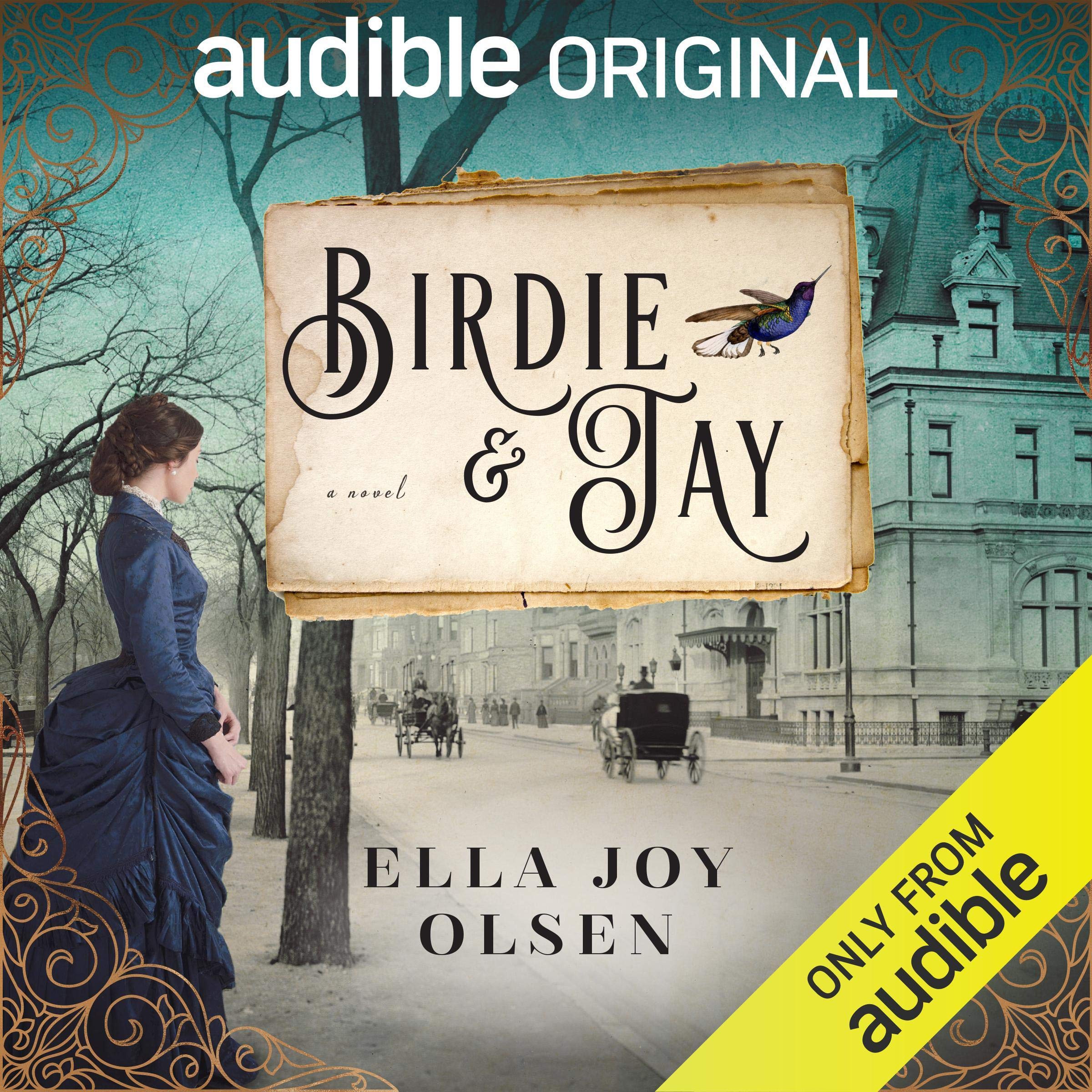 Cover art for Birdie and Jay