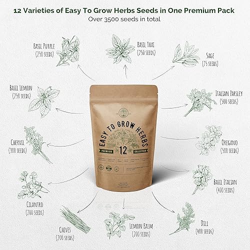 Miniatura 3 de Paquete variado de 12 semillas microverdes de hierbas y berros fáciles de cultivar, paquete variado de semillas de reliquia sin OMG para plantar en