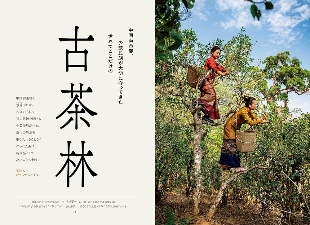 1971年 ナショナルジオグラフィック 北極海 地図 額装 木製 ディスプレイ 1971年 ナショナルジオグラフィック 北極海 地図 額装 木製