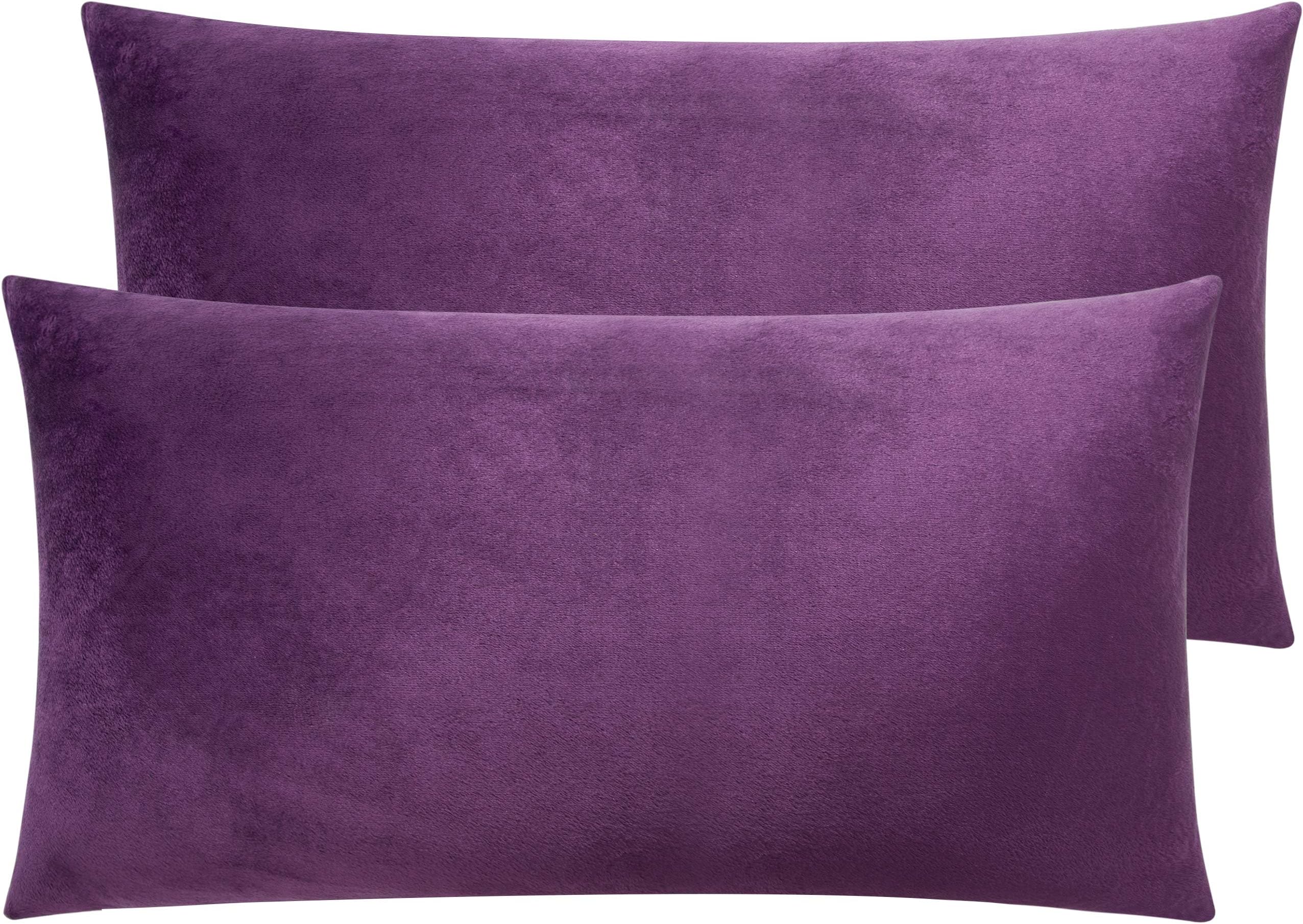 2 Pack Zippered Velvet King Pillowcases, Super Soft and Cozy Luxury Fuzzy Flannel Pillow Cases with Zipper, 20x36 Inches, Purple