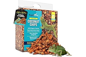 Eco-Friendly Reptibark: Nature's Best for Reptile Environments