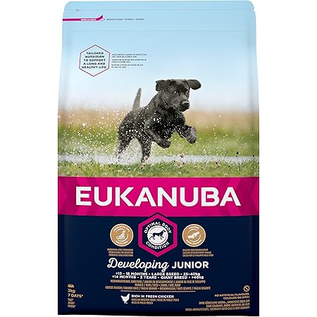 eukanuba junior