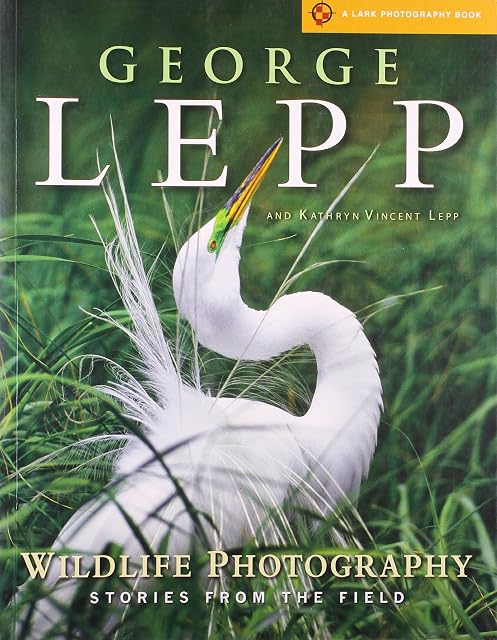 Portada de Wildlife Photography: Stories From The Field