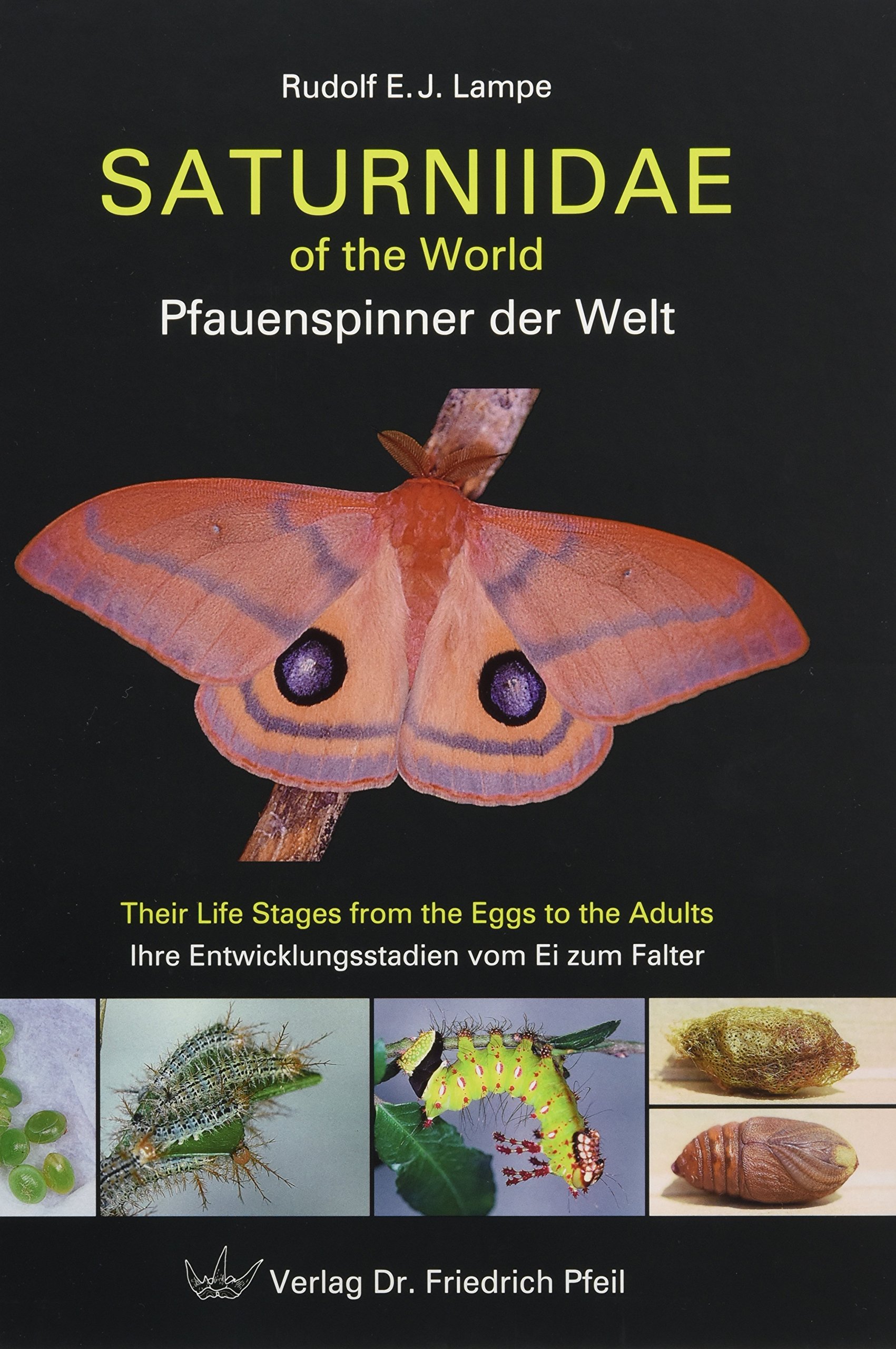 Saturniidae of the World Pfauenspinner der Welt: Their Life Stages from the Eggs to the Adults Ihre Entwicklungsstadien vom Ei zum Falter
