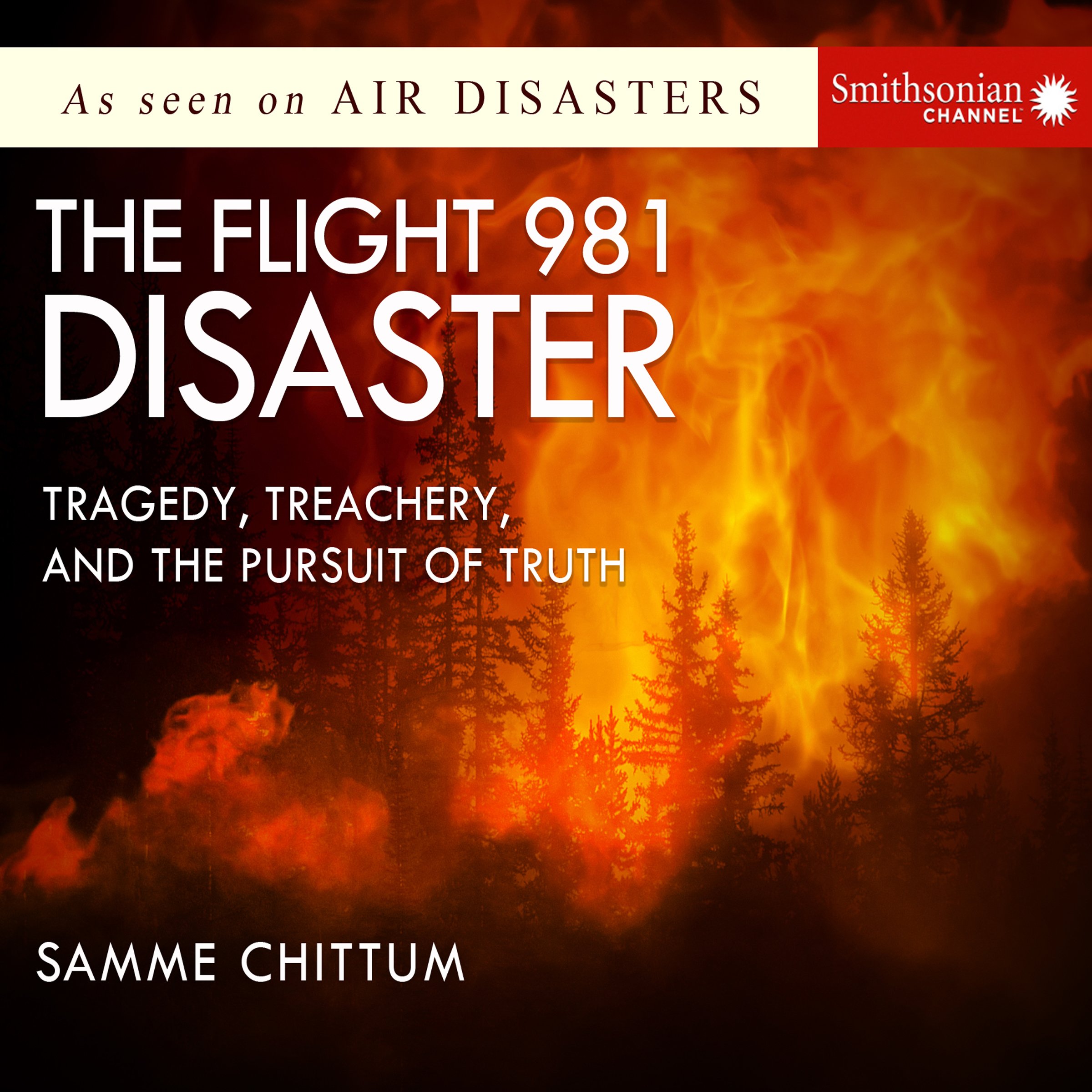 Cover art for The Flight 981 Disaster