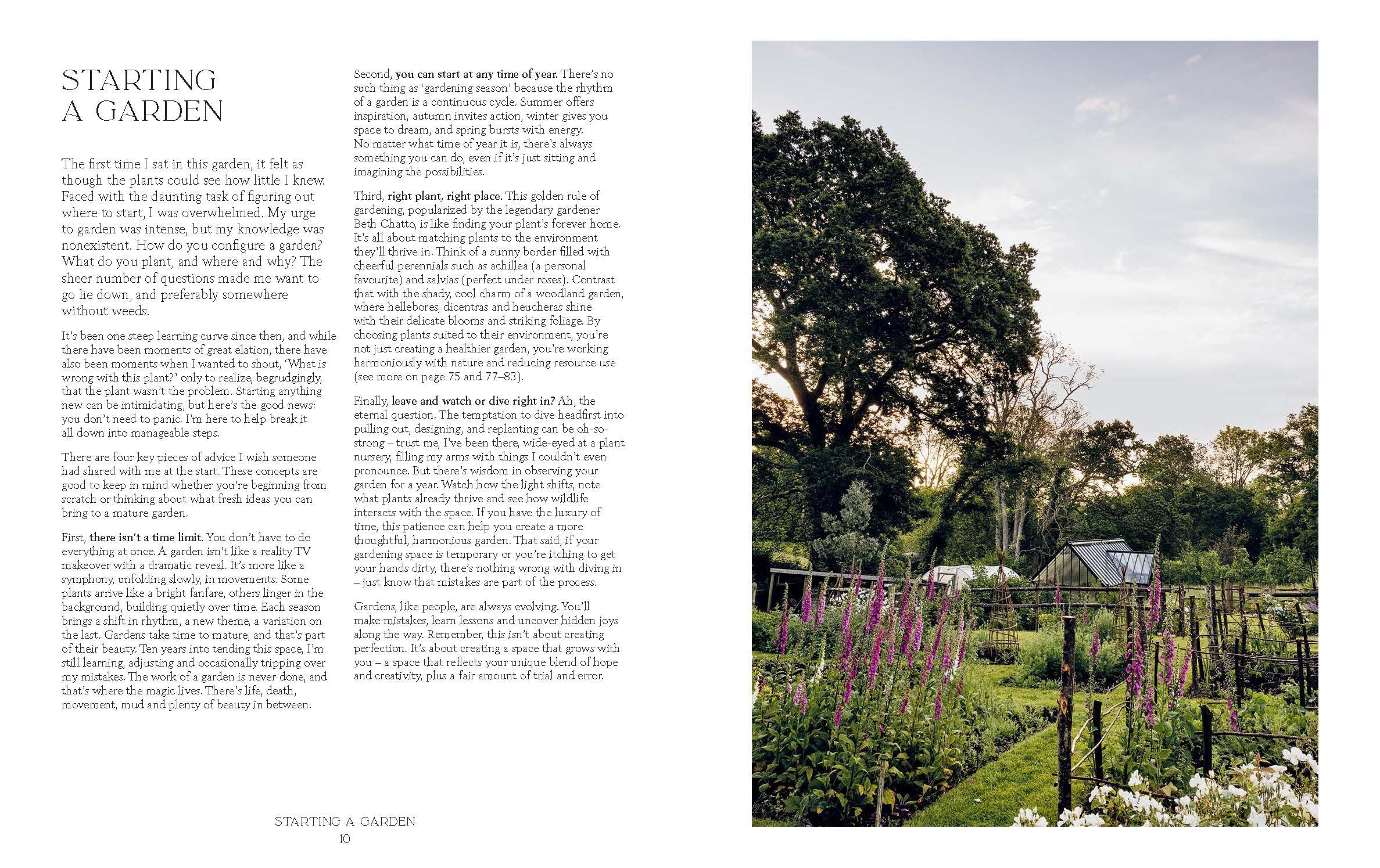 How Does Your Garden Grow?: The elements of planning, growing & caring for a garden