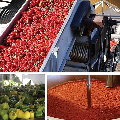 Miniatura 7 de Kick Butt Gourmet - Sazonador de especias ennegrecido de cajún picante (7 onzas), uso para condimentos criollos, costillas, alas de pollo, mariscos