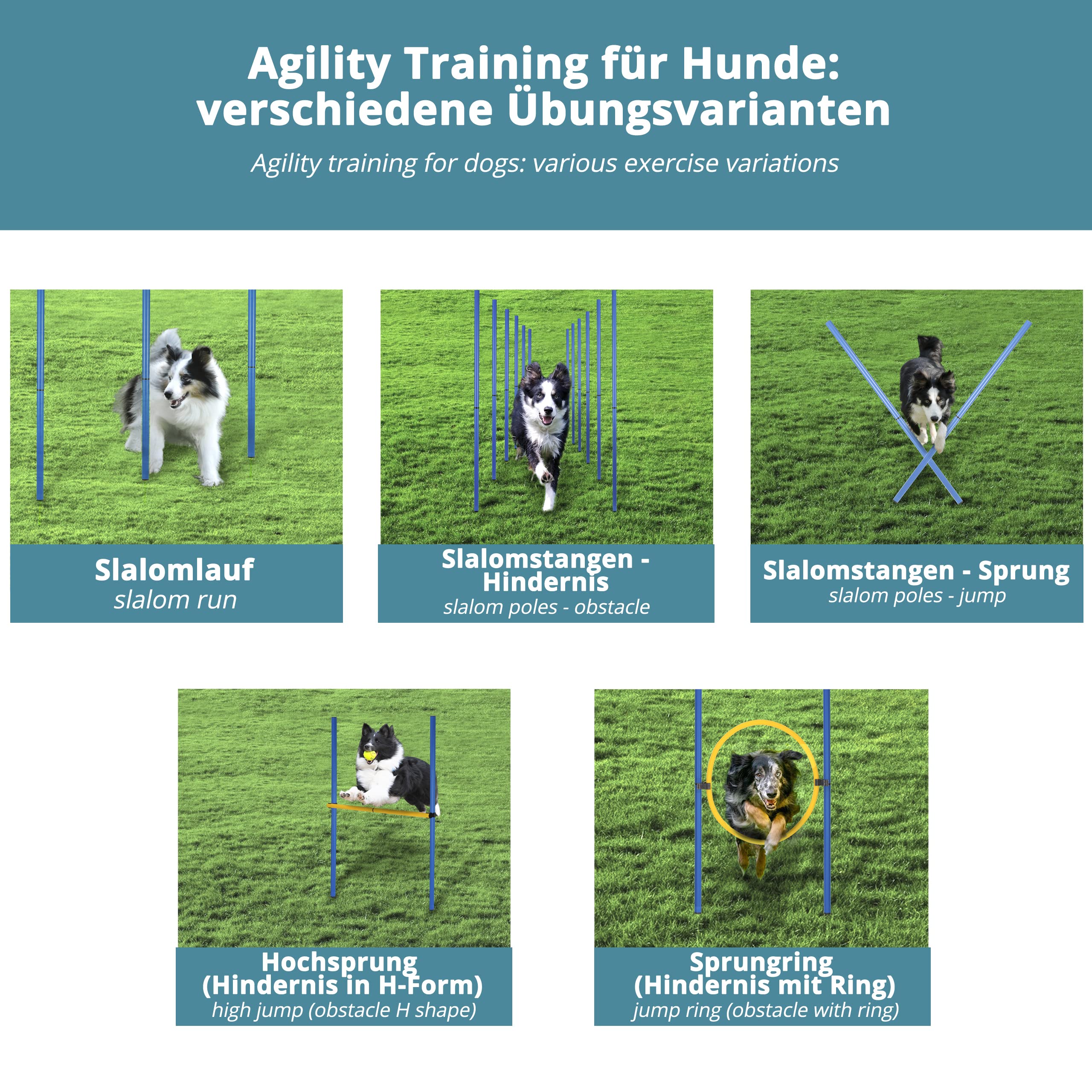 Slalom Stangen mit 2 Hürde + 1 Ring - blau/gelb - Slalomstangen/Hindernis/Sprungring – Agility Set für Hunde – Hundetraining Zubehör – Fußball Traininigsset - Plus: Frisbee