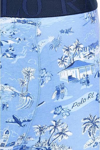 POLO RALPH LAUREN Men's Stretch Classic Fit Boxer Briefs, Trunks & Long Leg Available, 3-Pack