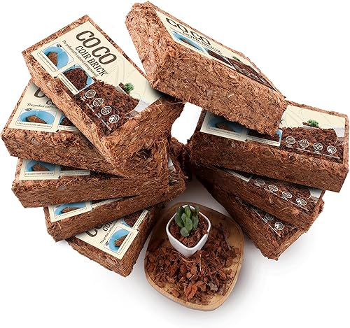 Miniatura 7 de COCOUNT Shell - Chips de coco para plantas, paquete de 6 chips de cáscara de coco orgánico con baja EC y pH equilibrado, sustrato de coco de alta