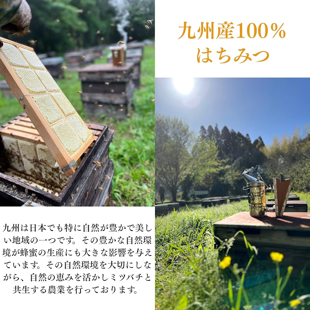 Amazon | 【テレビで紹介されました】九州蜂の子本舗 花の道 極