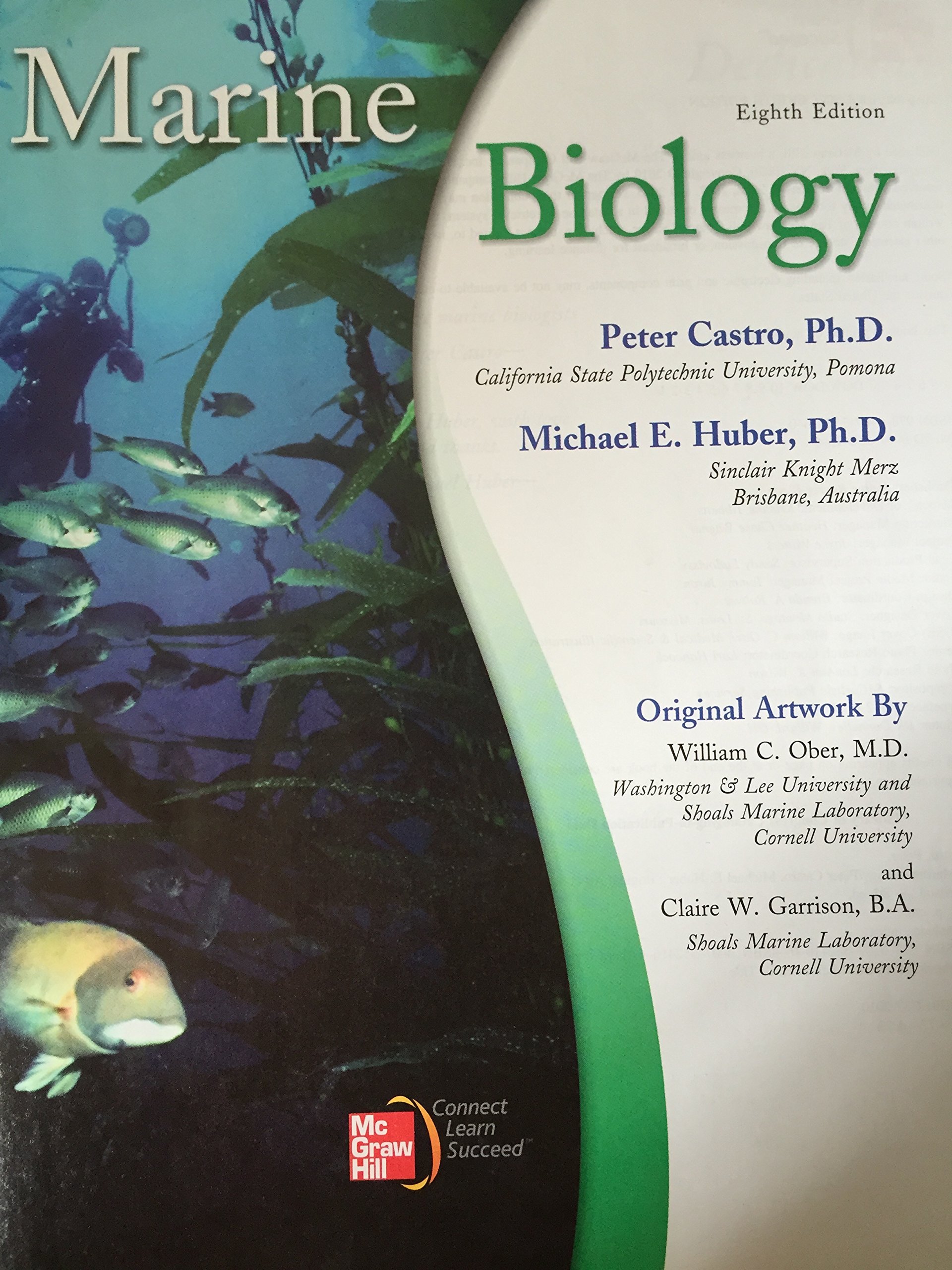 Marine Biology - Image 3