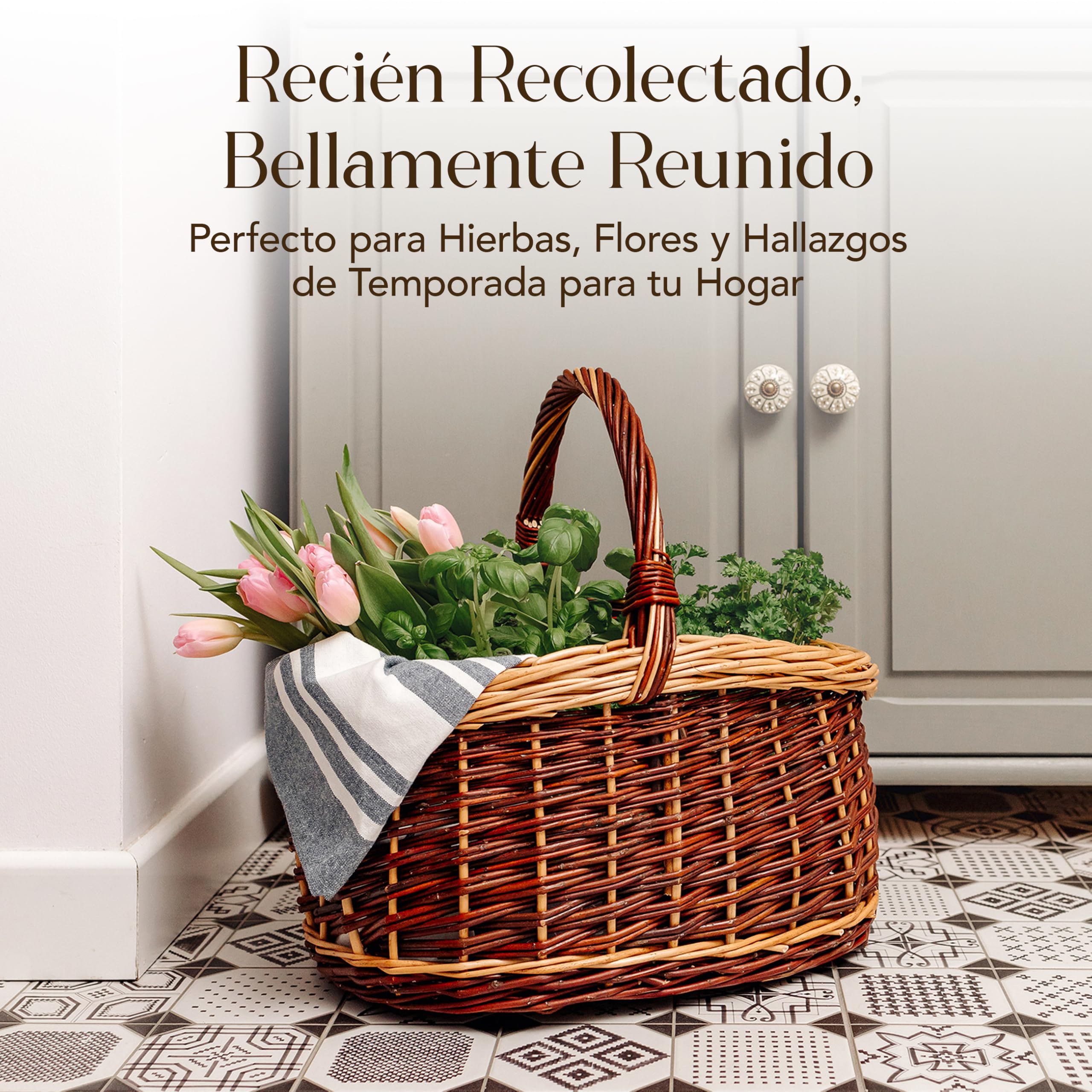 Creative Home Cesta de Mimbre Grande con Asa y Trenza Picnic 43x33x40cm | (+/-1cm) | Ligera | para Setas Compra Regalo Plantas Decoración | Tejida a Mano | Mimbre Claro y Oscuro | Multiuso y Práctica