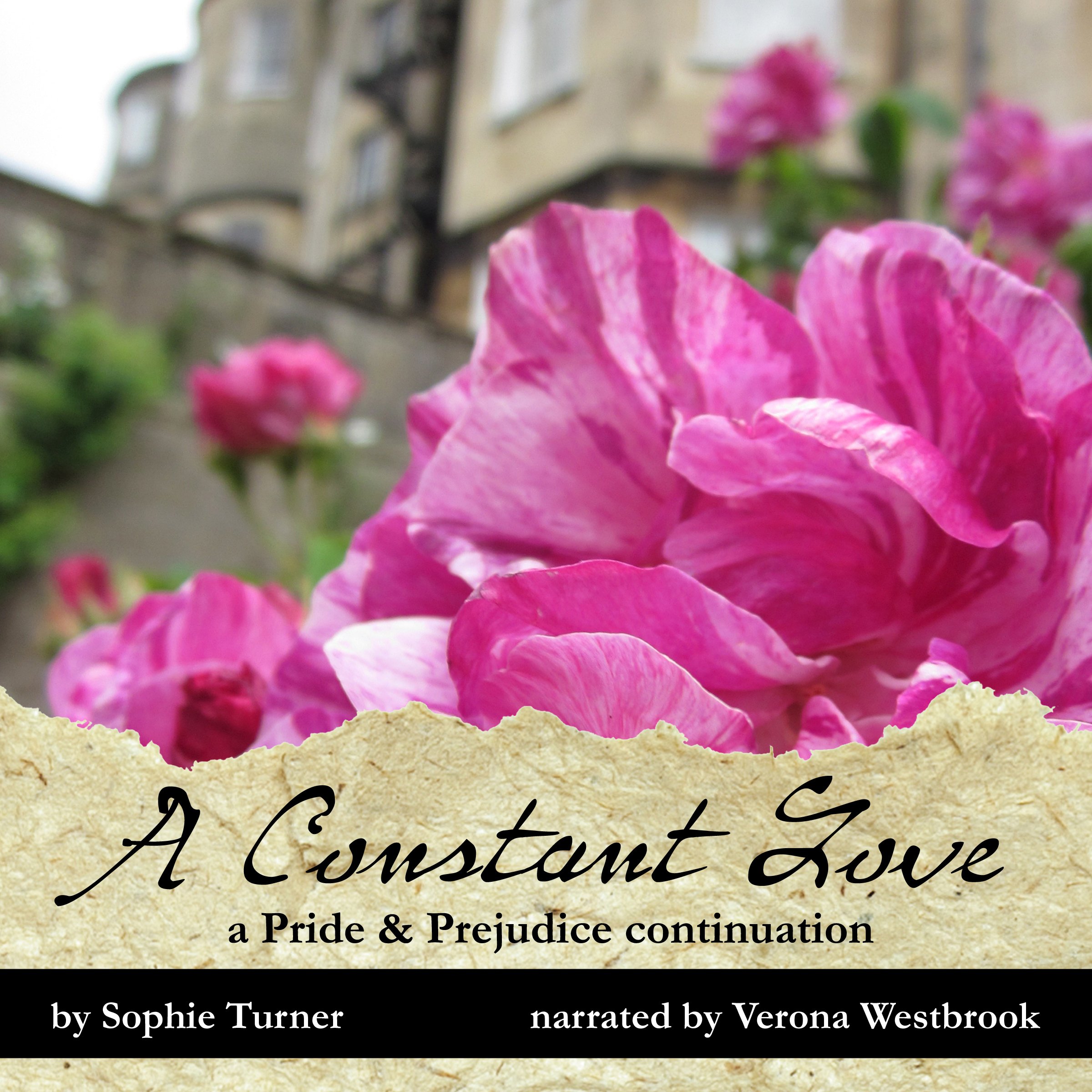 Cover art for A Constant Love