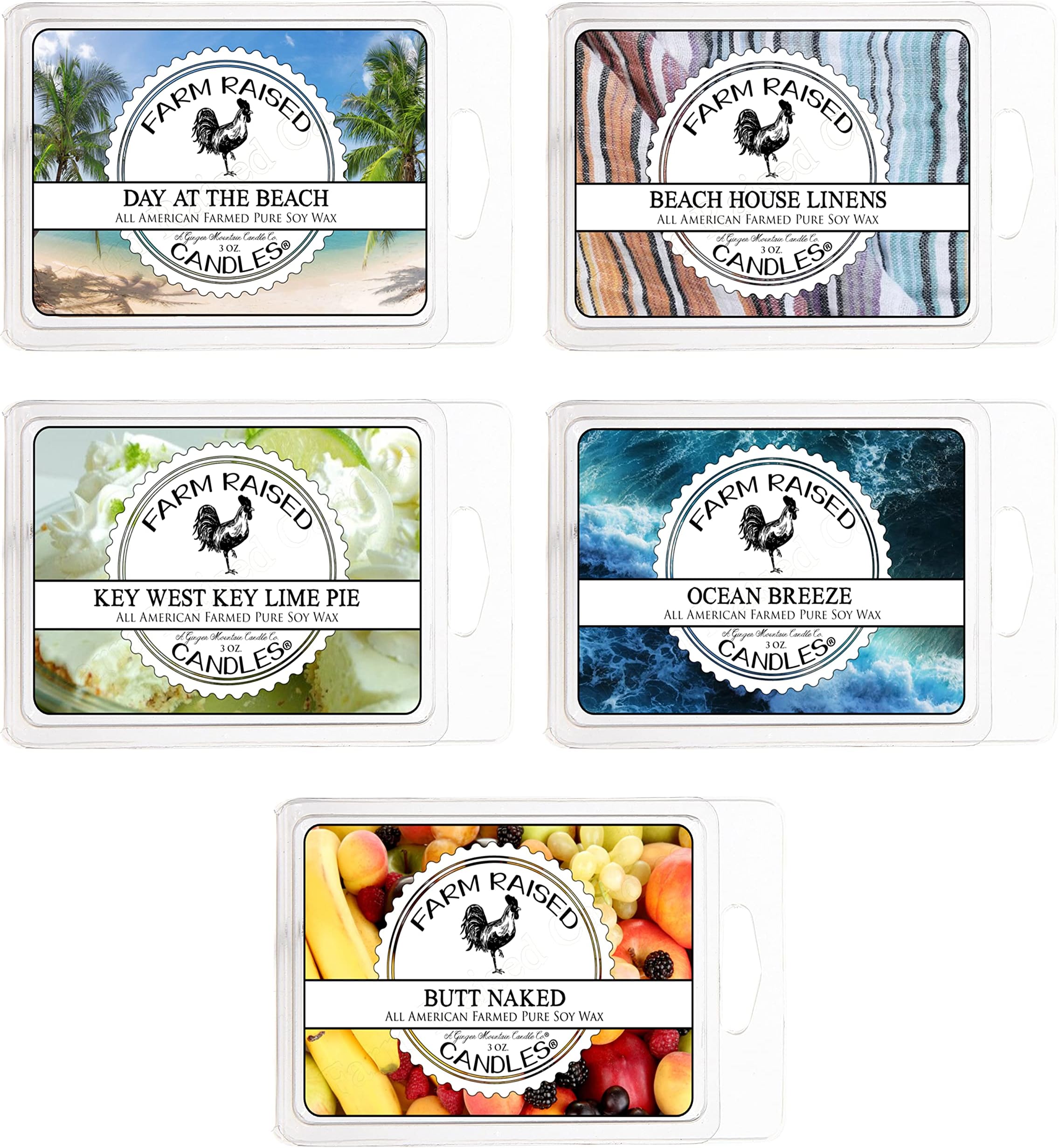 Summer Wax Melts Beach Pack - Farm Raised Candles - Assorted Variety 5 Pack - 30 Wax Cubes - 100% Plant Based Soy Wax Melts - Coconut Wax Melts Ocean Wax Melts Key West Key Lime Wax Warmer Melts