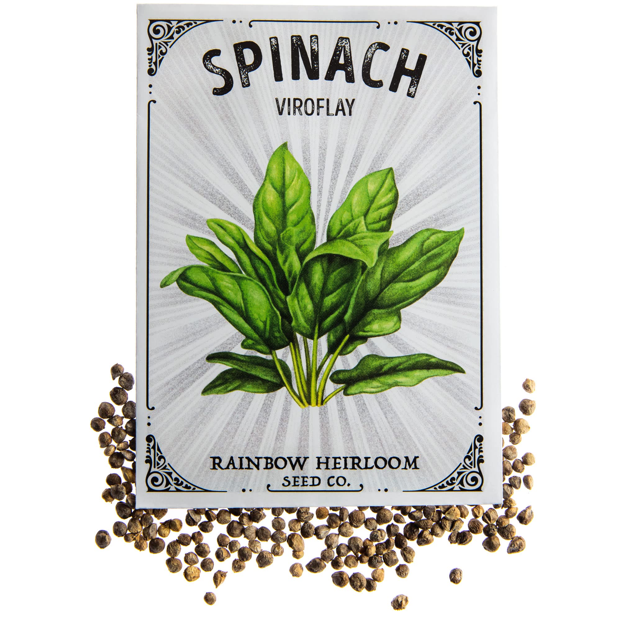 Spinach Seeds for Planting | Viroflay Variety (2g Packet - Approx 150 Seeds) | Non-GMO & Heirloom Seeds | Illustrated Seed Packet with Growing Instructions by Rainbow Heirloom Seed Co.