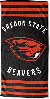 The Northwest Company Stripes Beach Towel