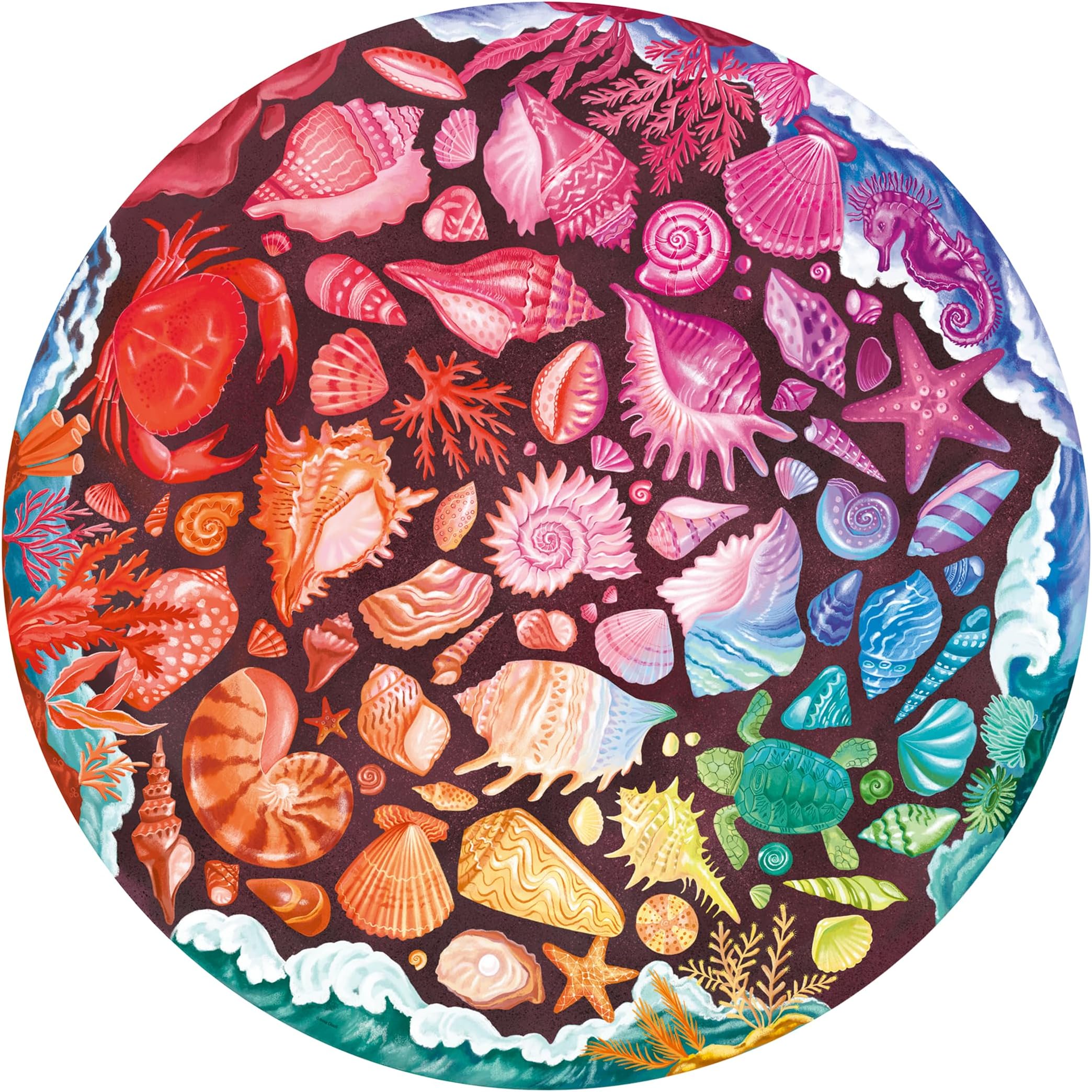 Ravensburger Seashells - 500 Piece Circular Shaped Jigsaw Puzzle for Adults and Kids Age 10 Years +