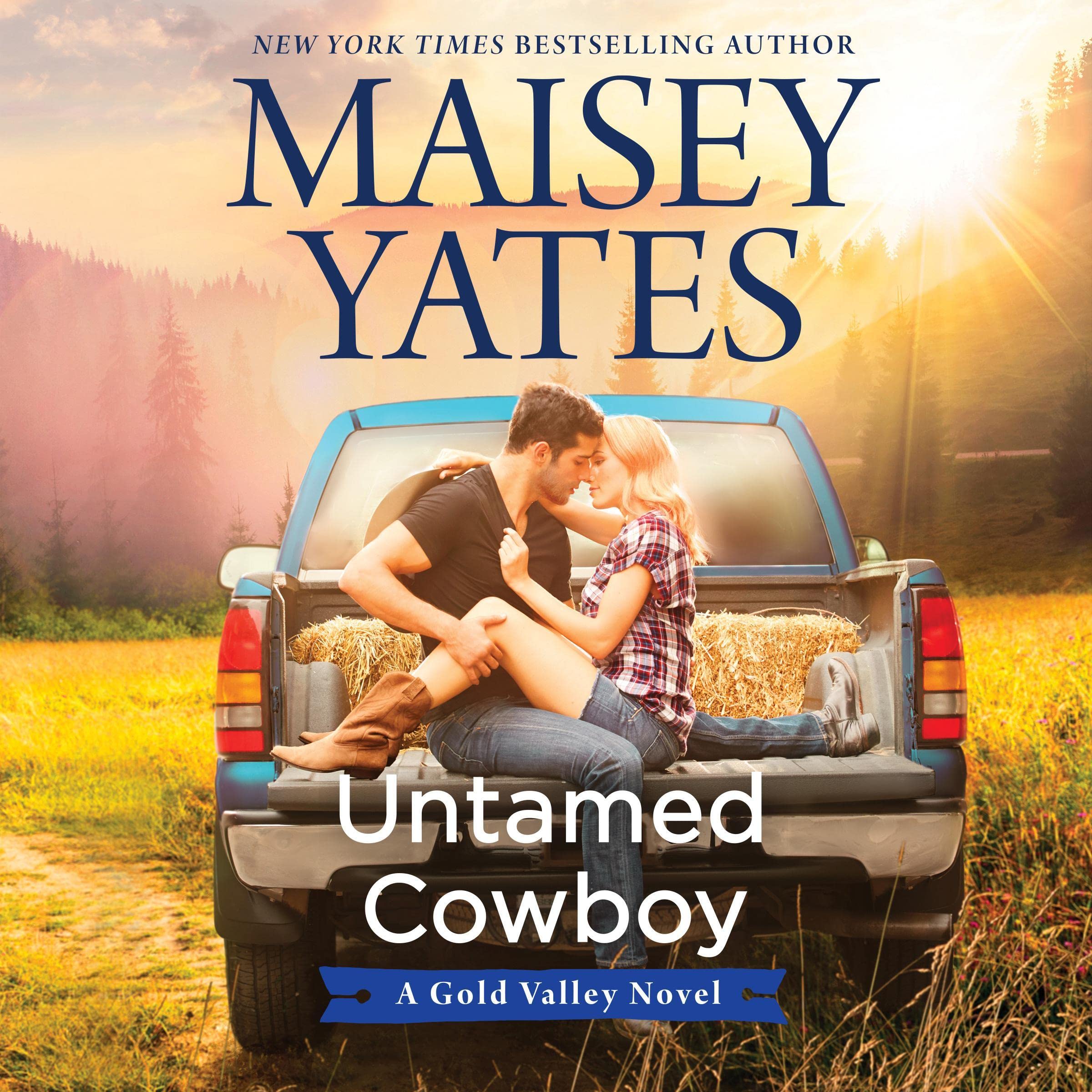 Cover art for Untamed Cowboy