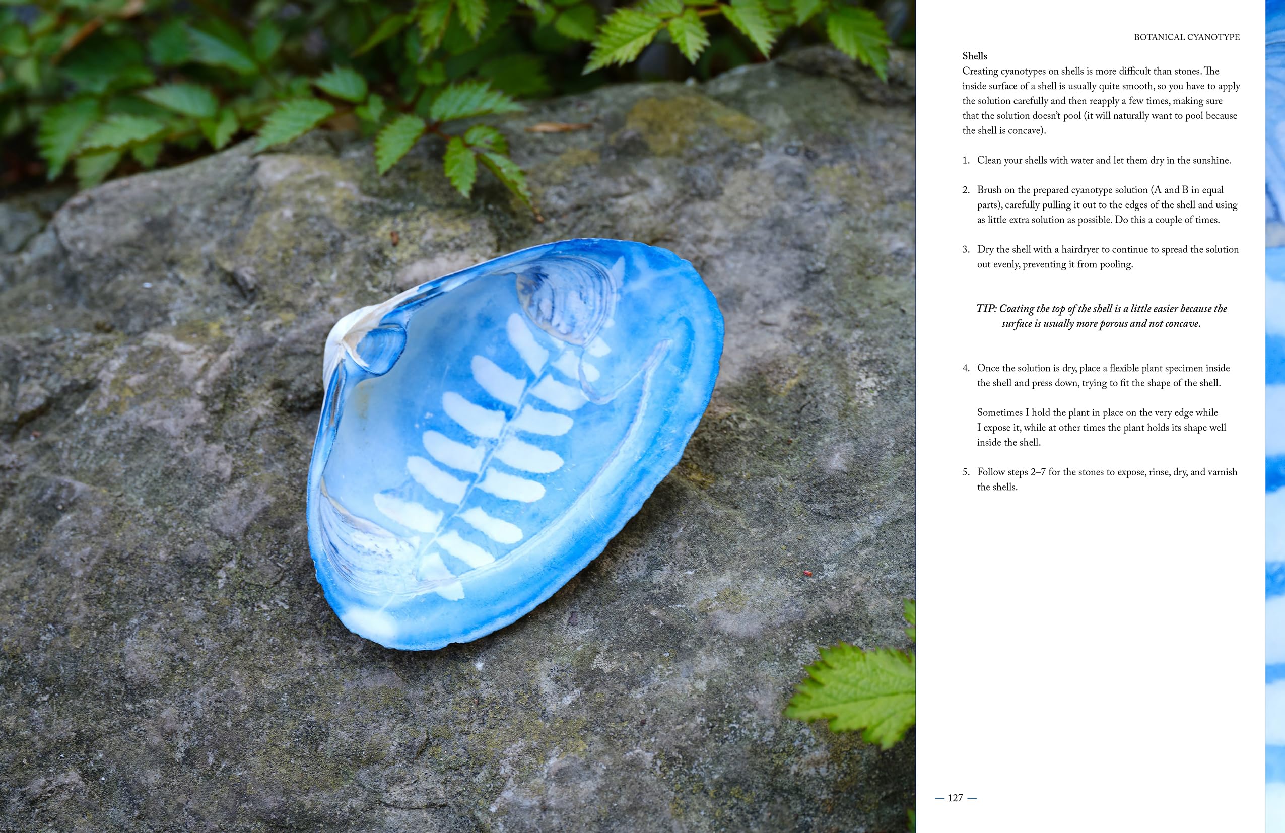Botanical Cyanotype: A Guide to the Art of Sun Printing